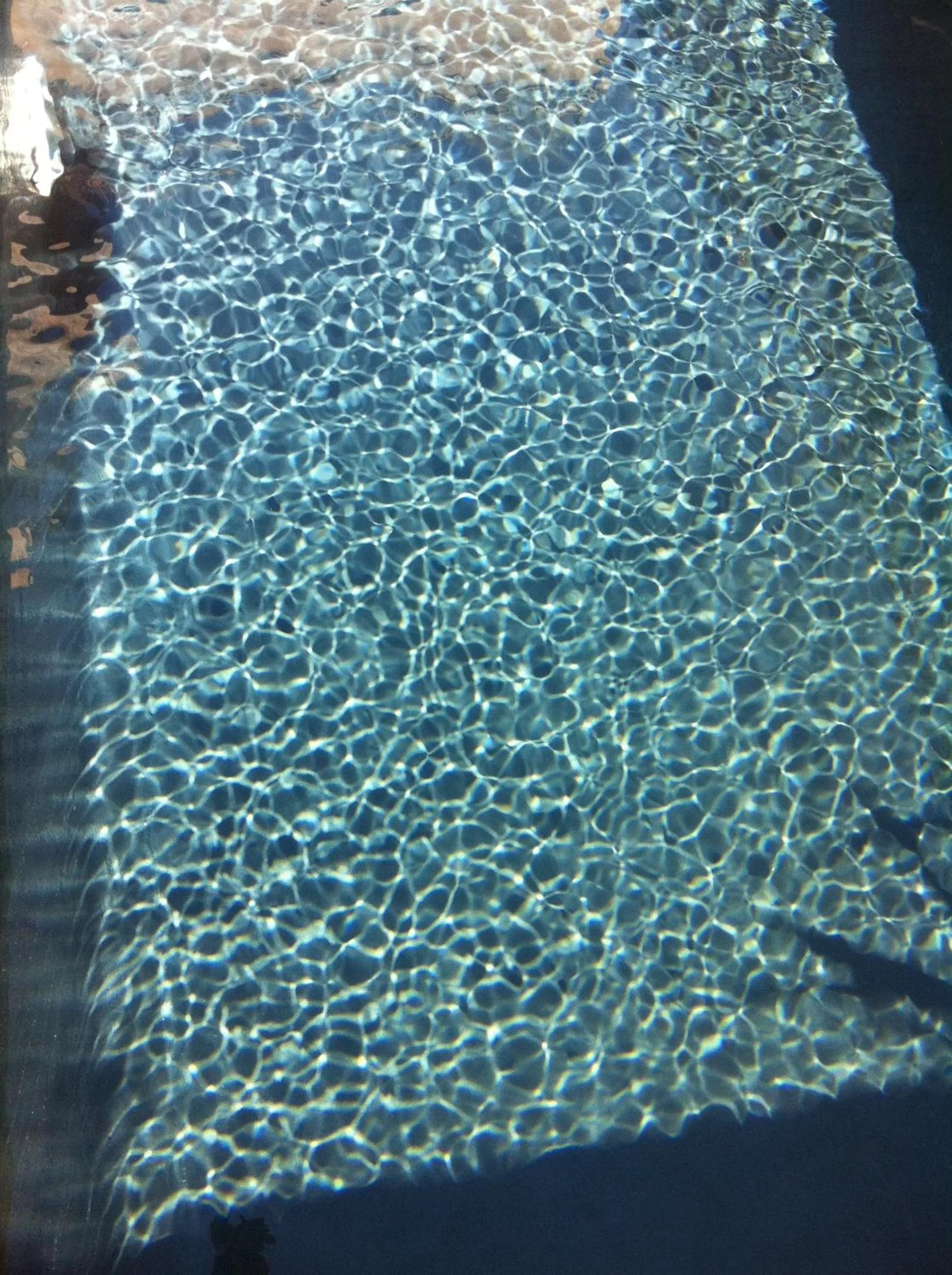 Swimming pool in B&B - Chambres d'hôtes Le Foch