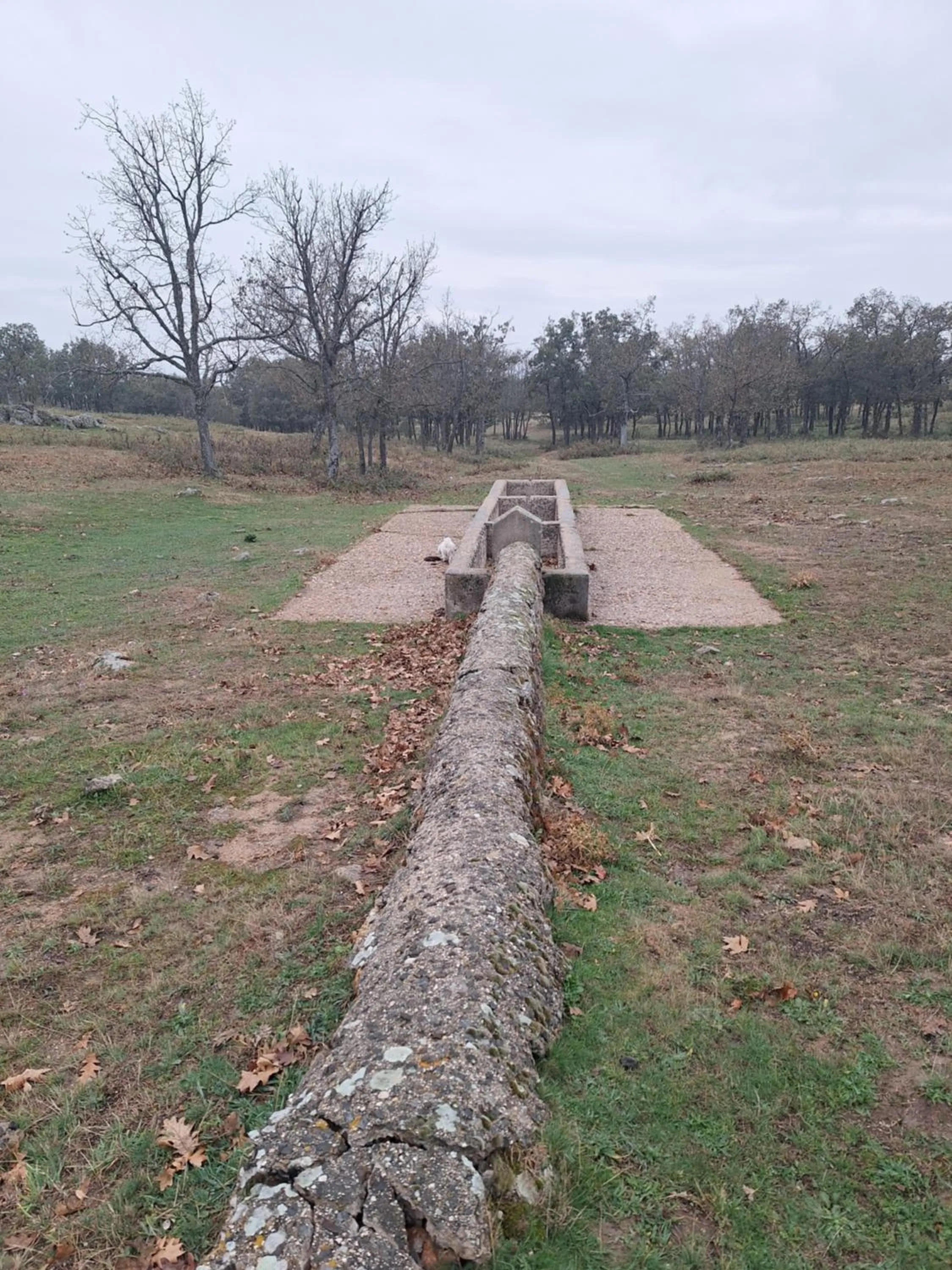 Hostal el patio restaurante