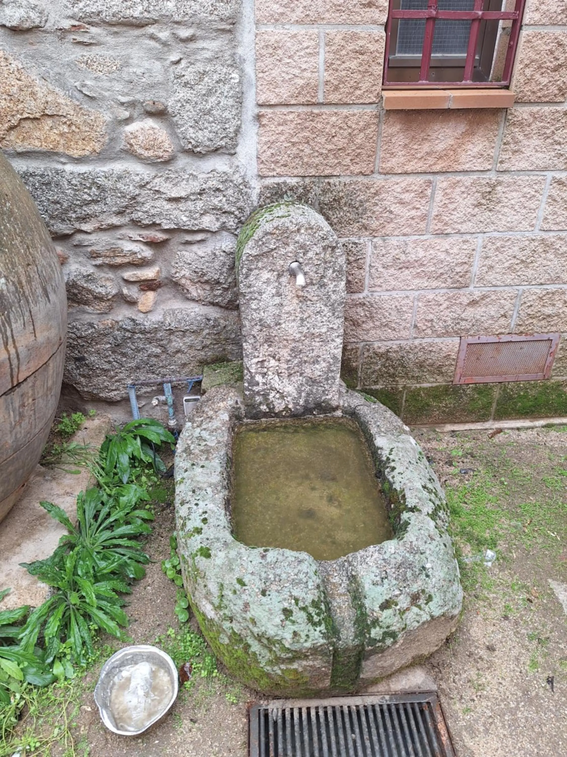 Hostal el patio restaurante