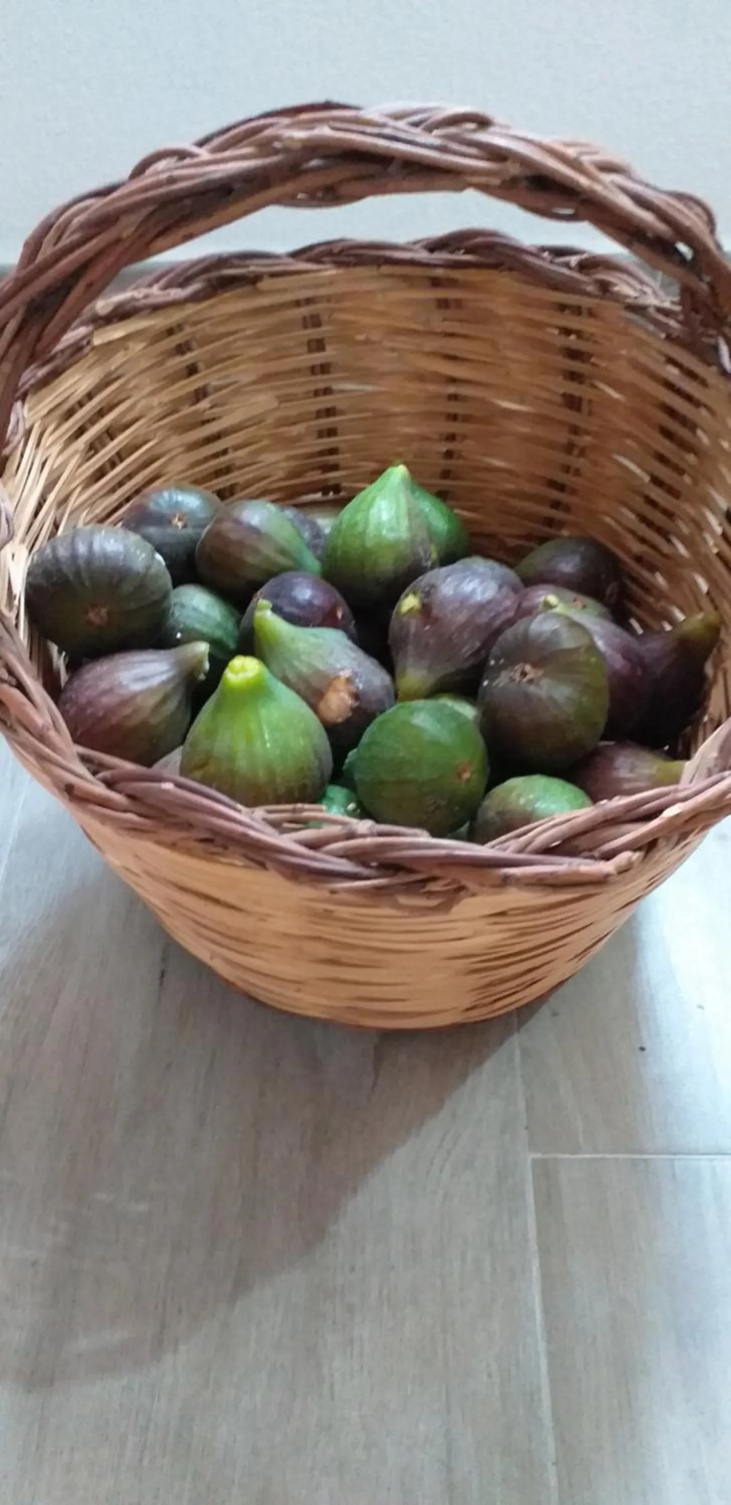 Il Vecchio Ginepro