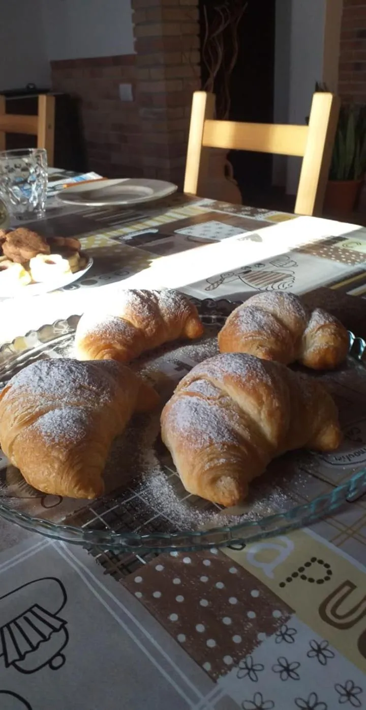 Il Vecchio Ginepro