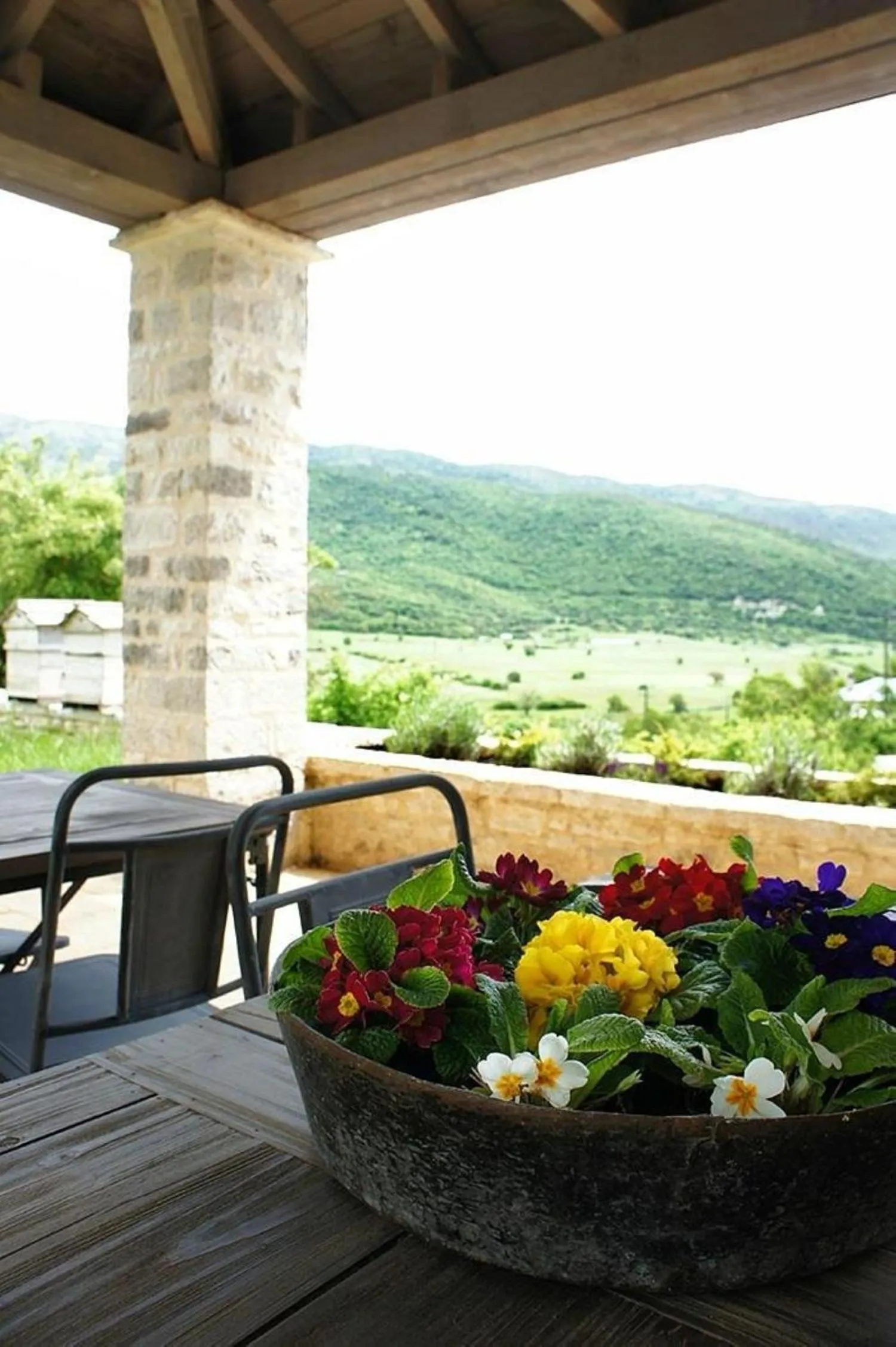 Garden in "Apeiros Chora" Hotel, Zagori