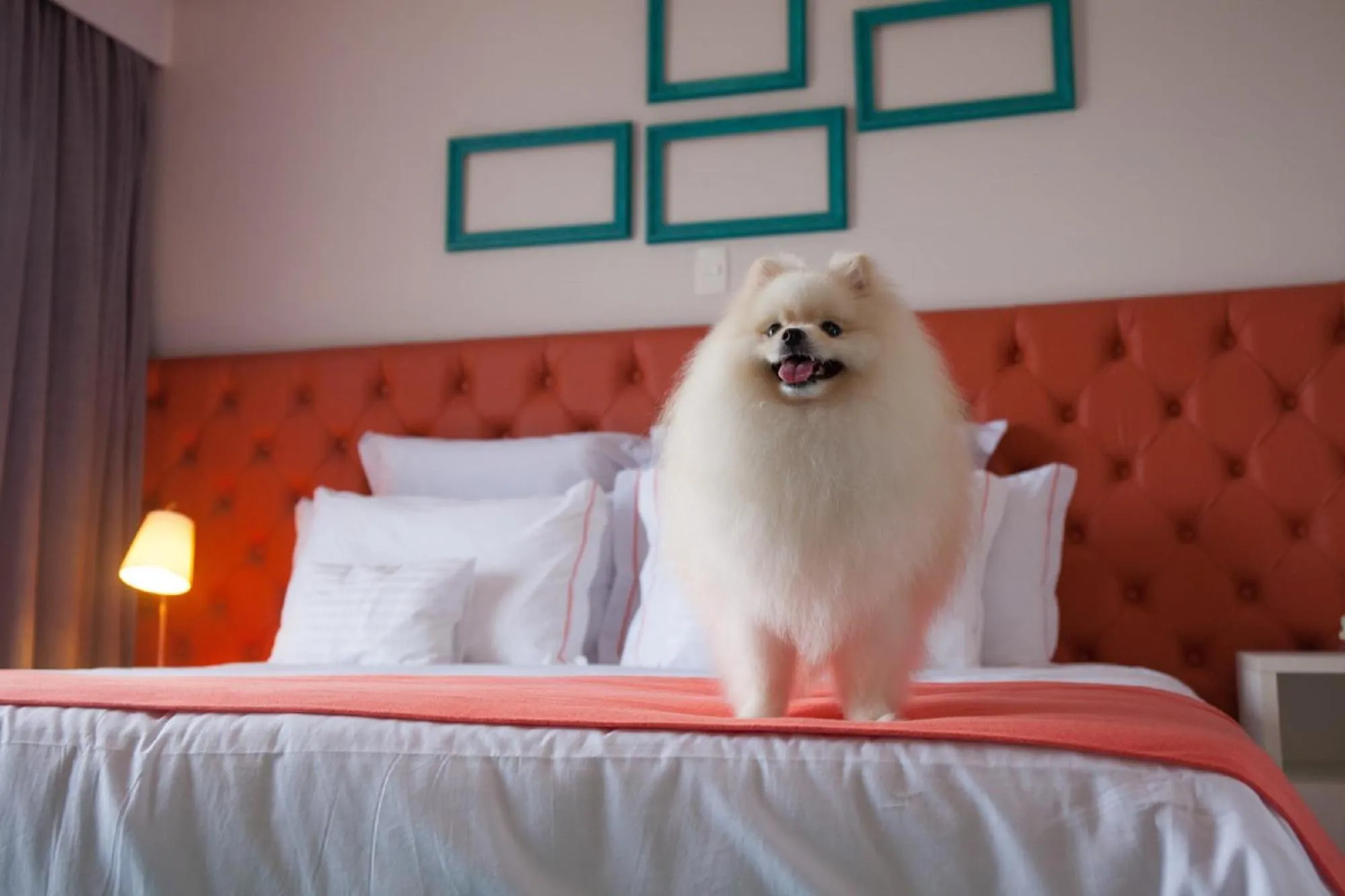 Bedroom, Bed in Doral Guarujá