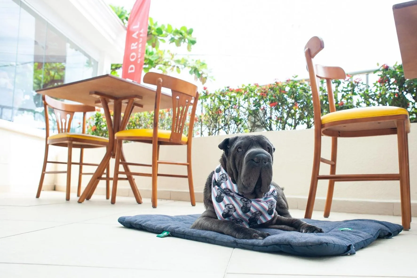 Patio in Doral Guarujá