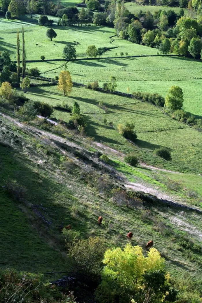 Horse-riding in Alojamiento Calzada Romana