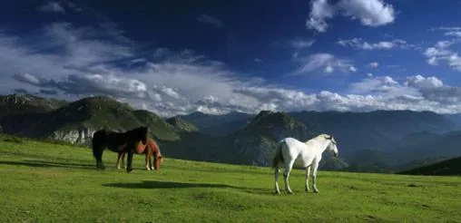 Horse-riding in Alojamiento Calzada Romana