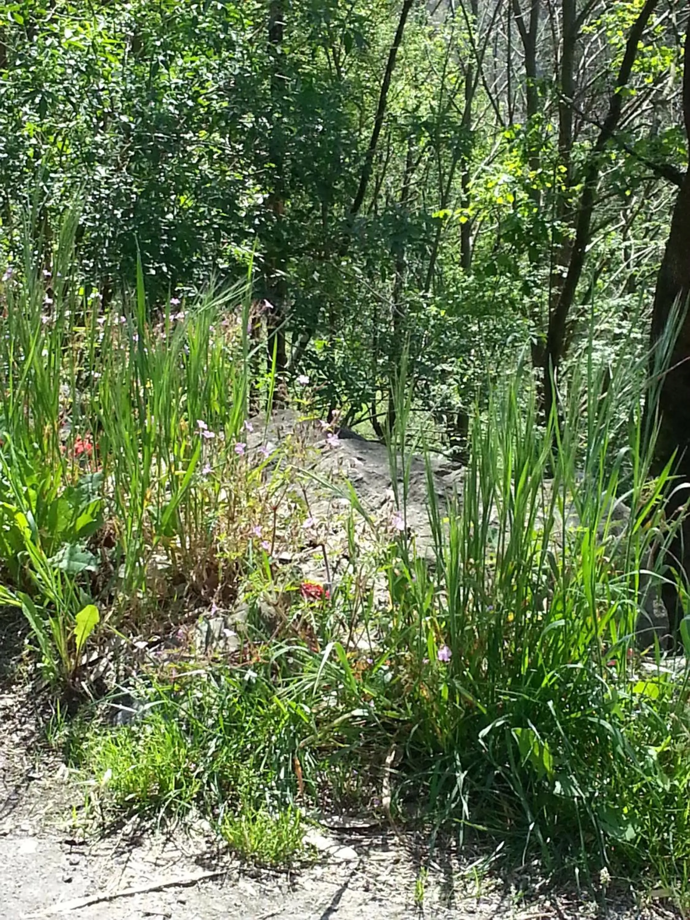Hiking in Alojamiento Calzada Romana