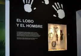 Activities in Alojamiento Calzada Romana