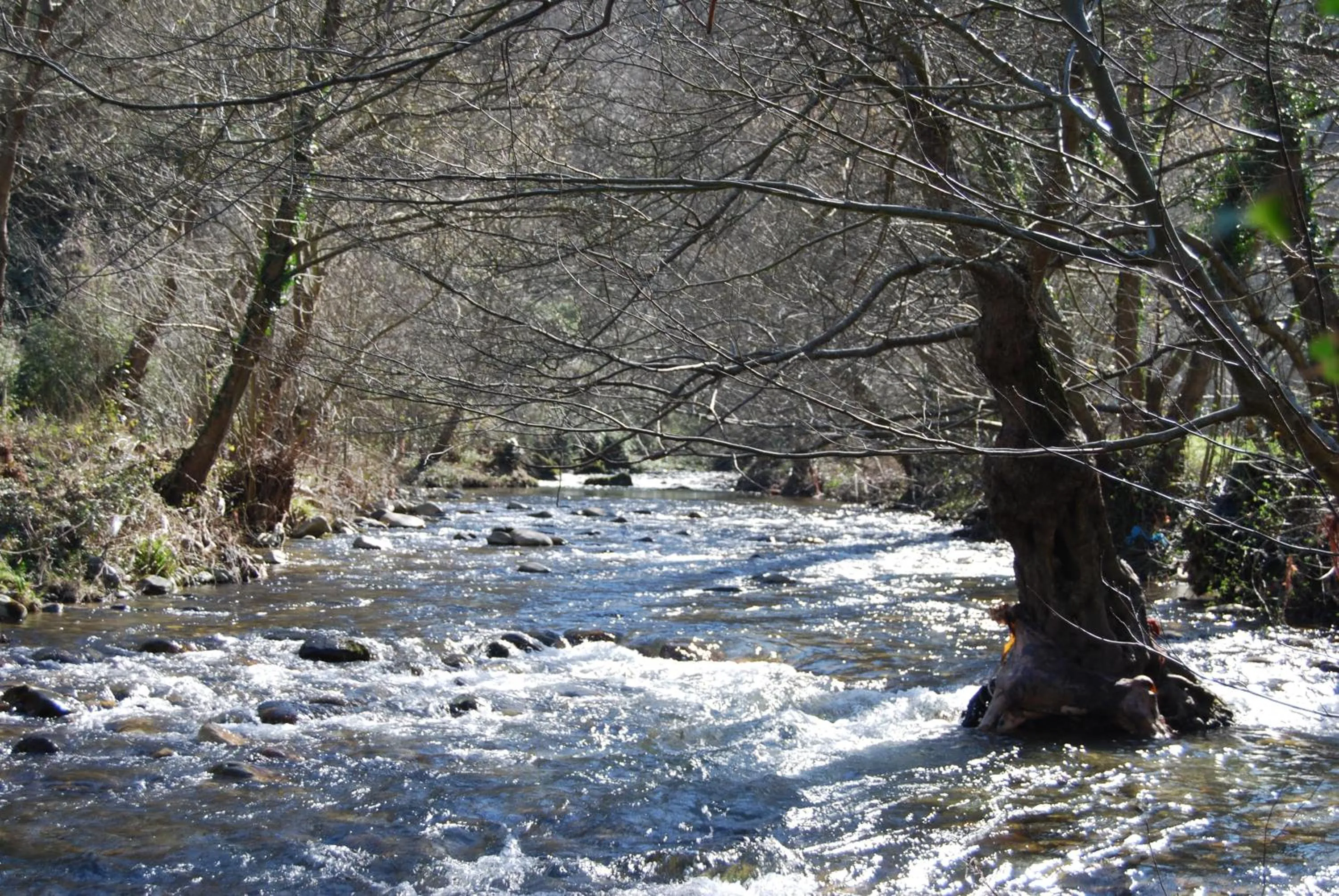 Fishing in Alojamiento Calzada Romana