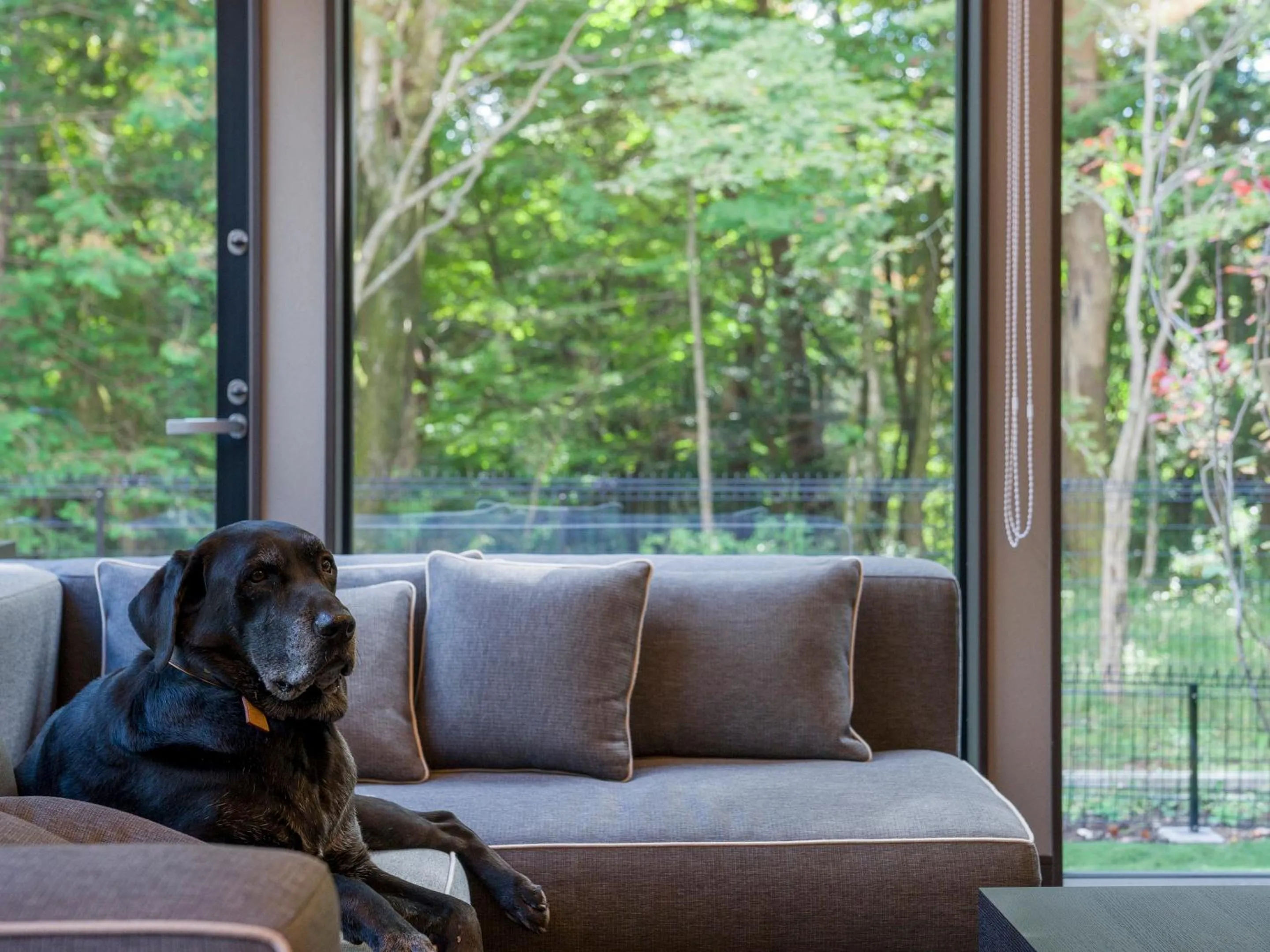 Living room in Rakuten STAY VILLA Nikko