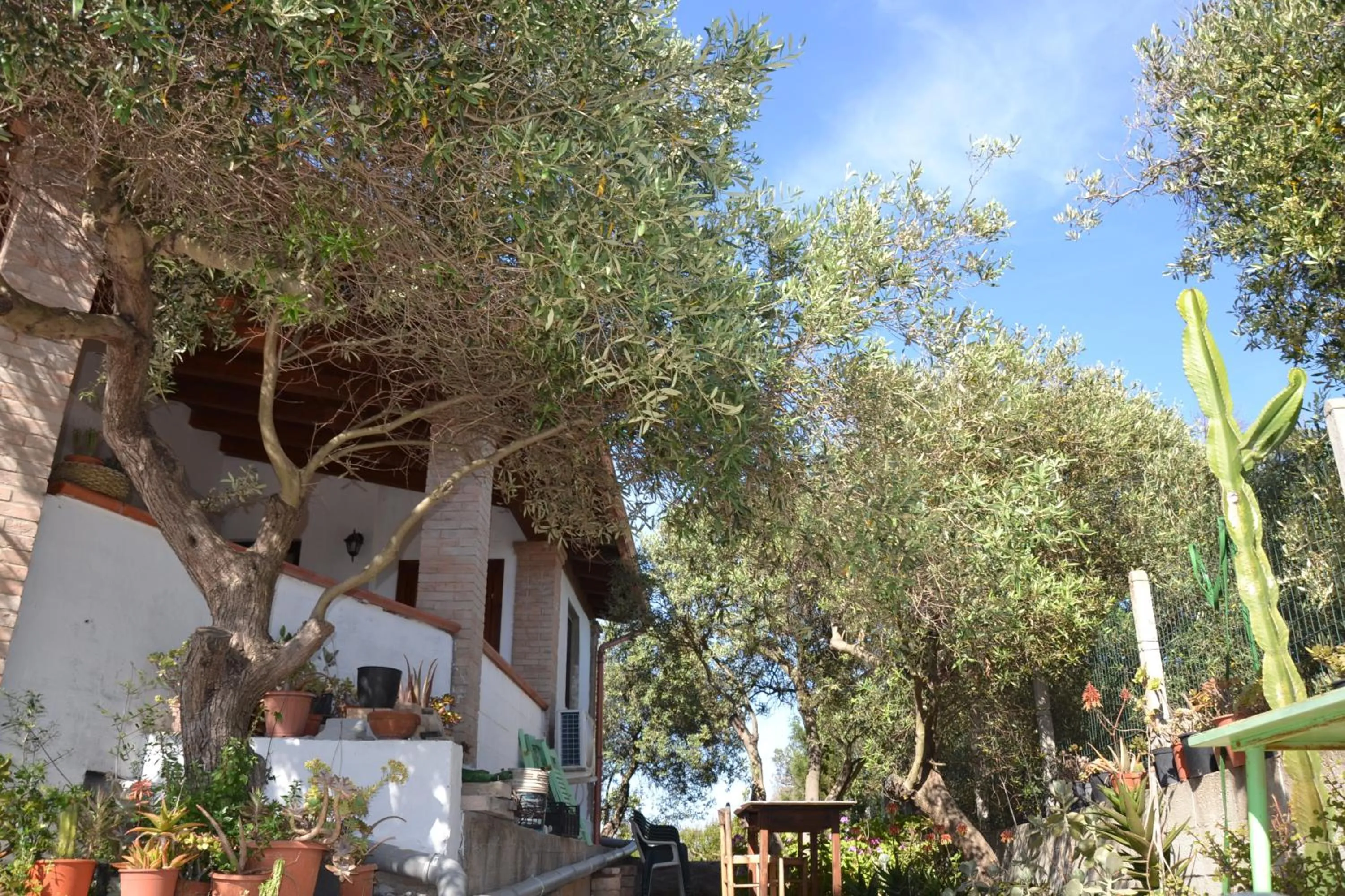 Property building in Mi casa es tu casa 79