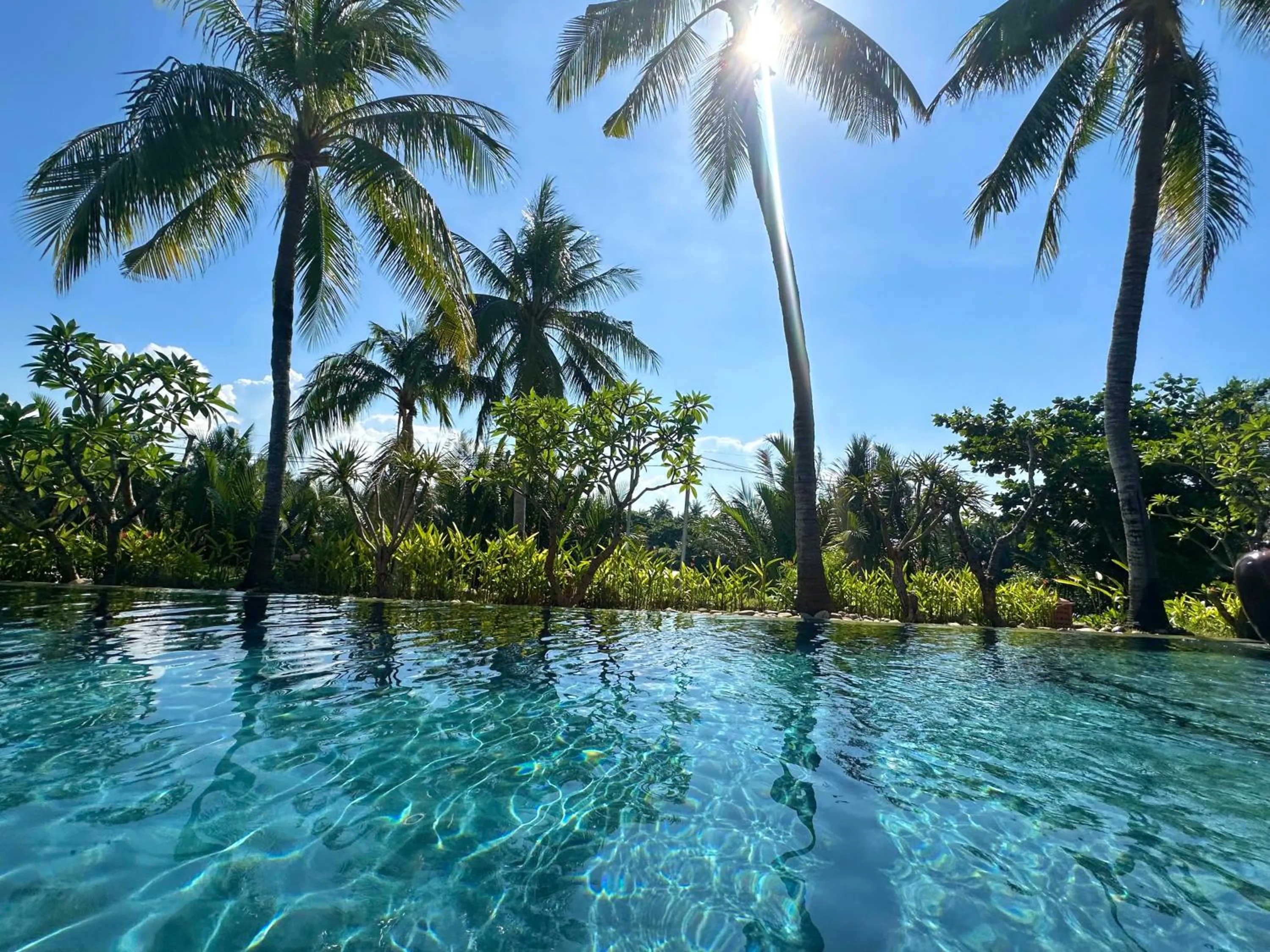 Swimming pool in Sứ Retreat Hoi An - Riverfront Resort
