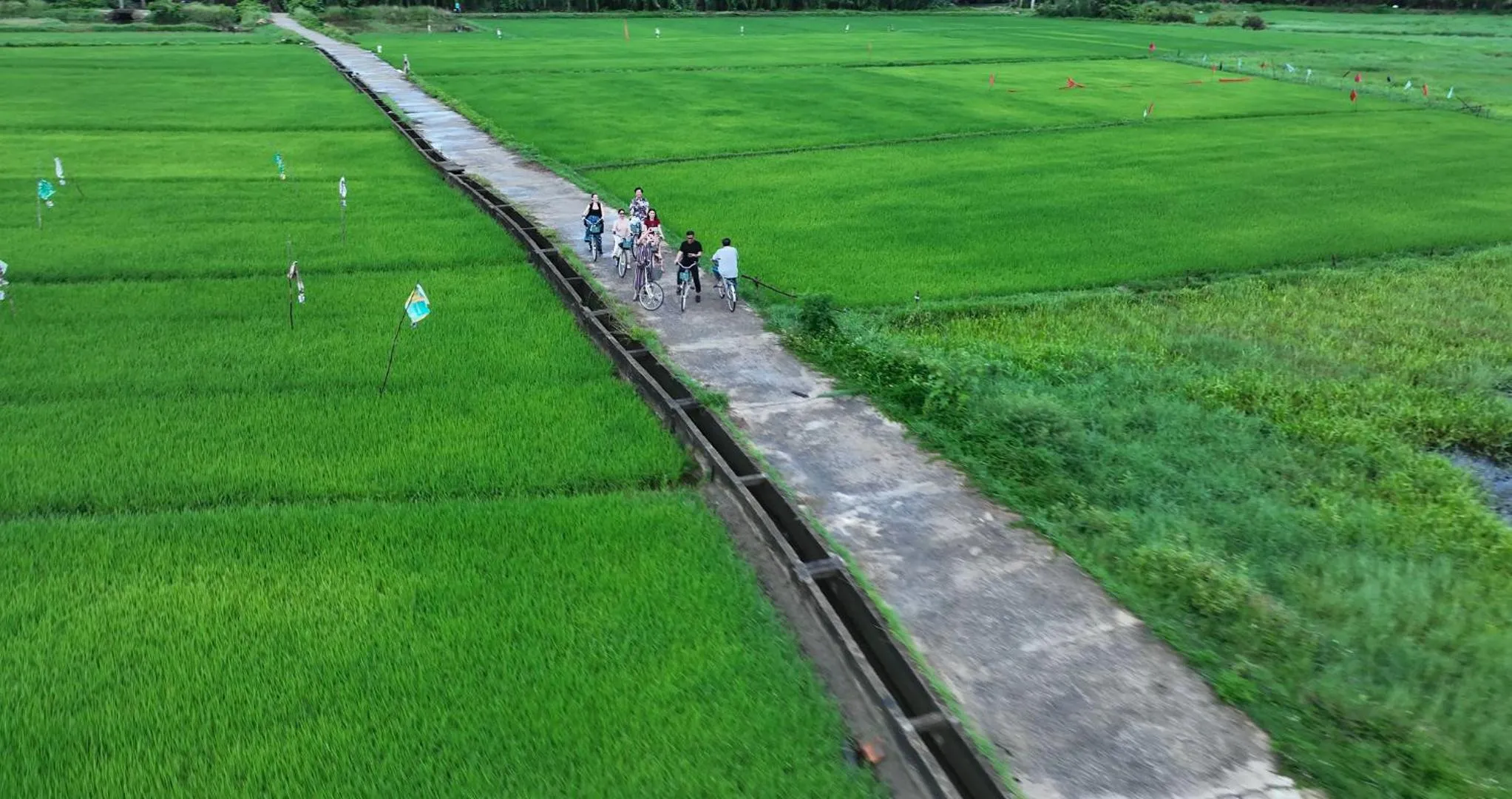 Activities in Sứ Retreat Hoi An - Riverfront Resort