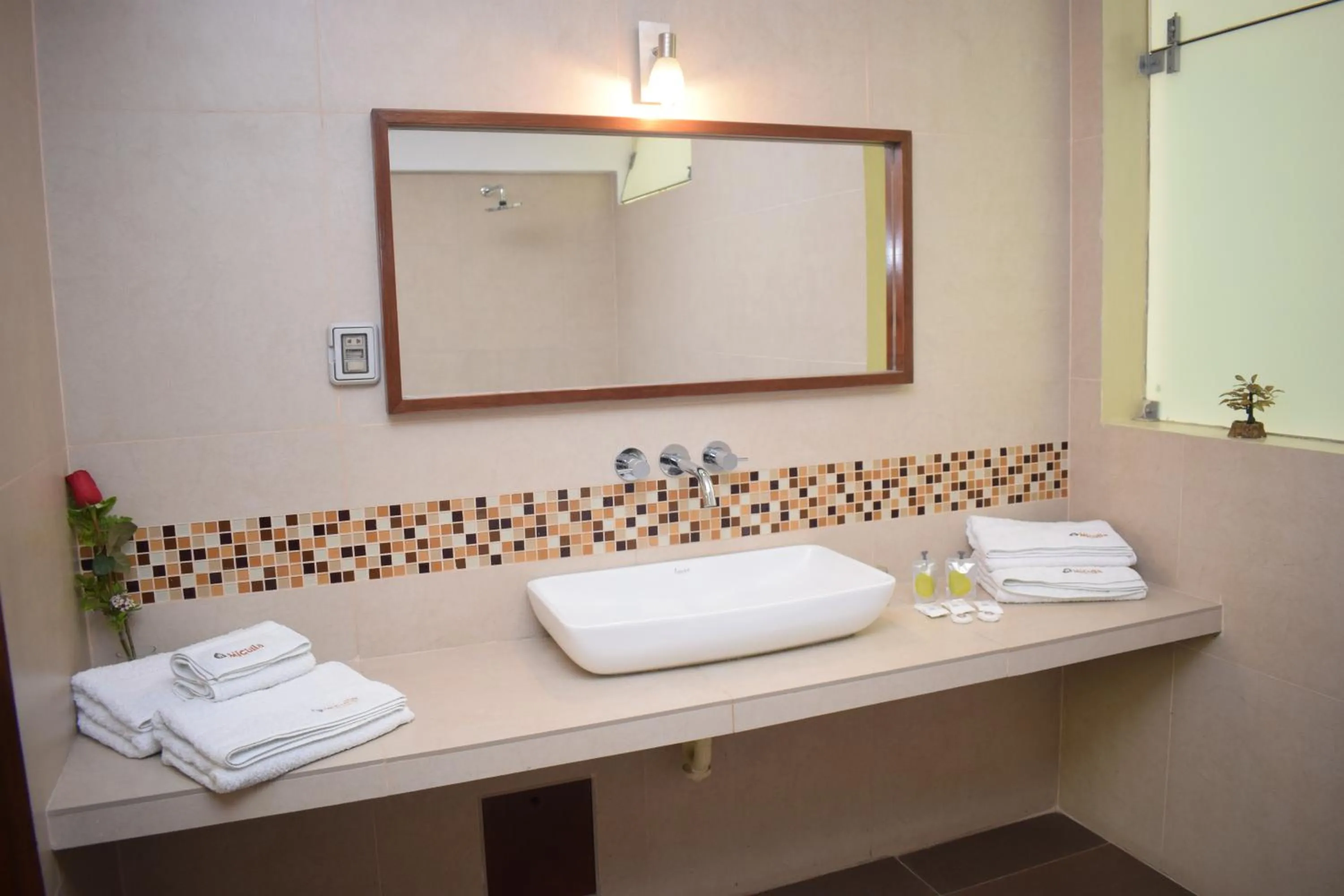 Double Room in Miculla Hotel