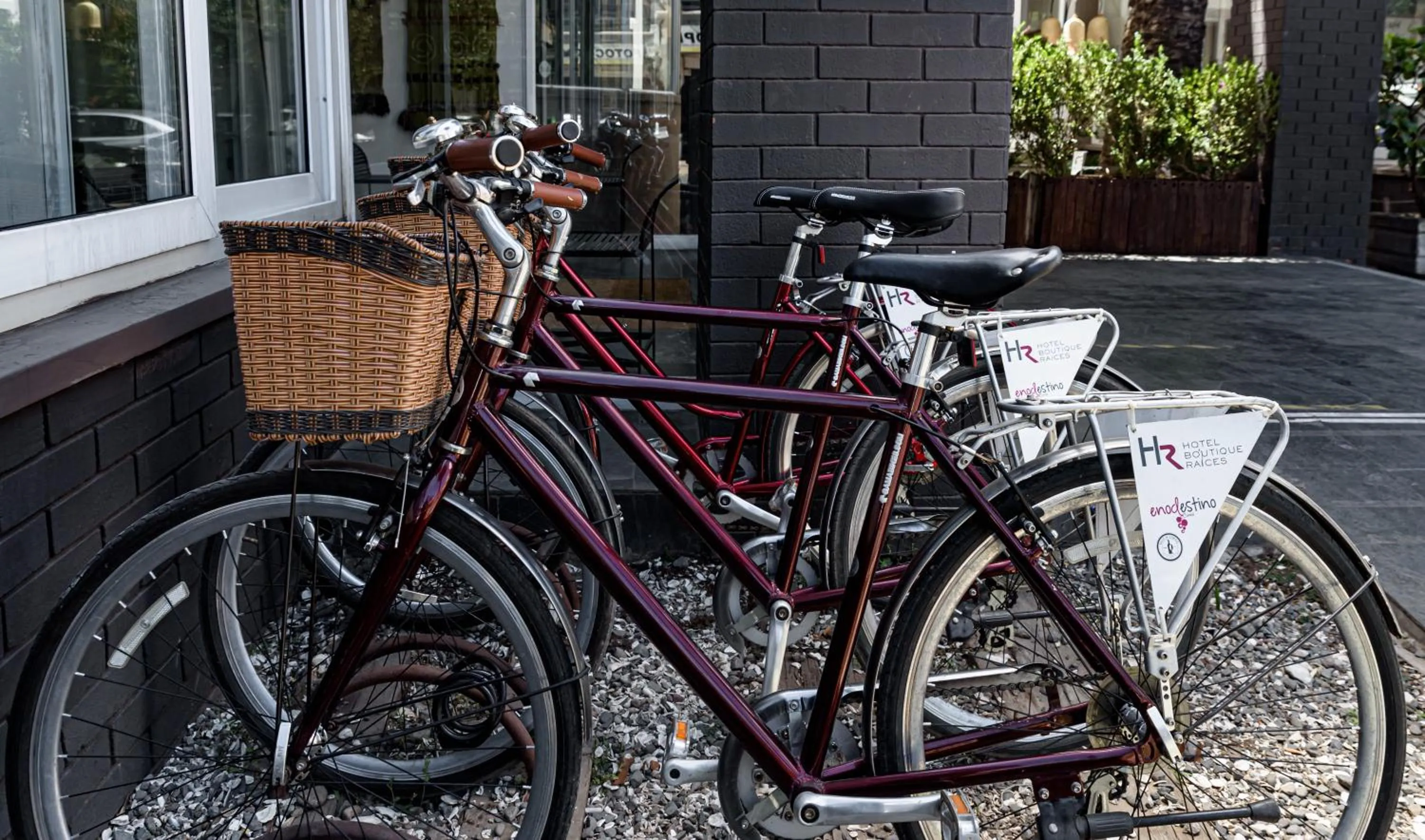 Hotel Boutique Raíces