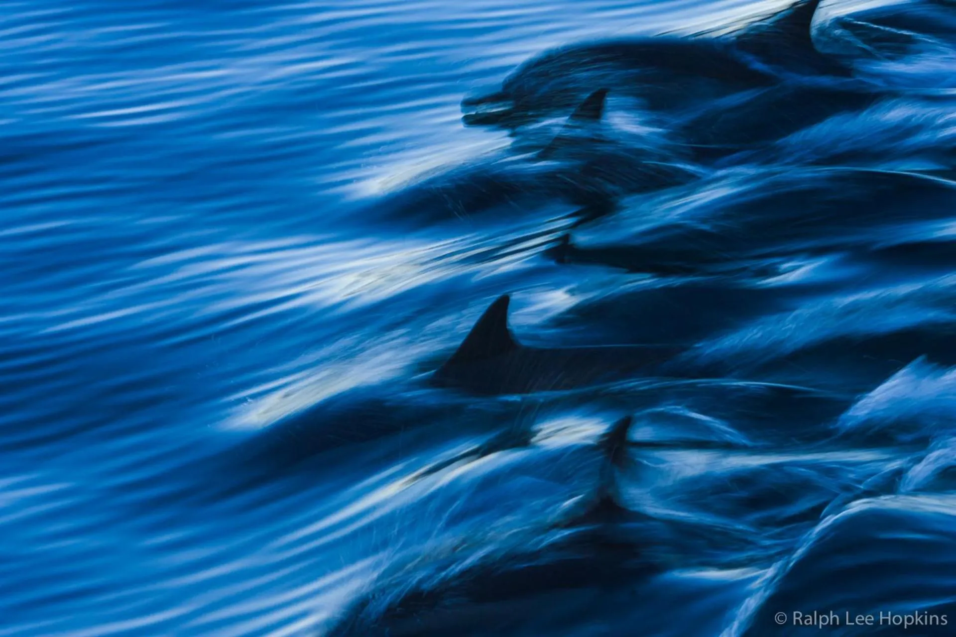 Text overlay in Rancho Las Cruces