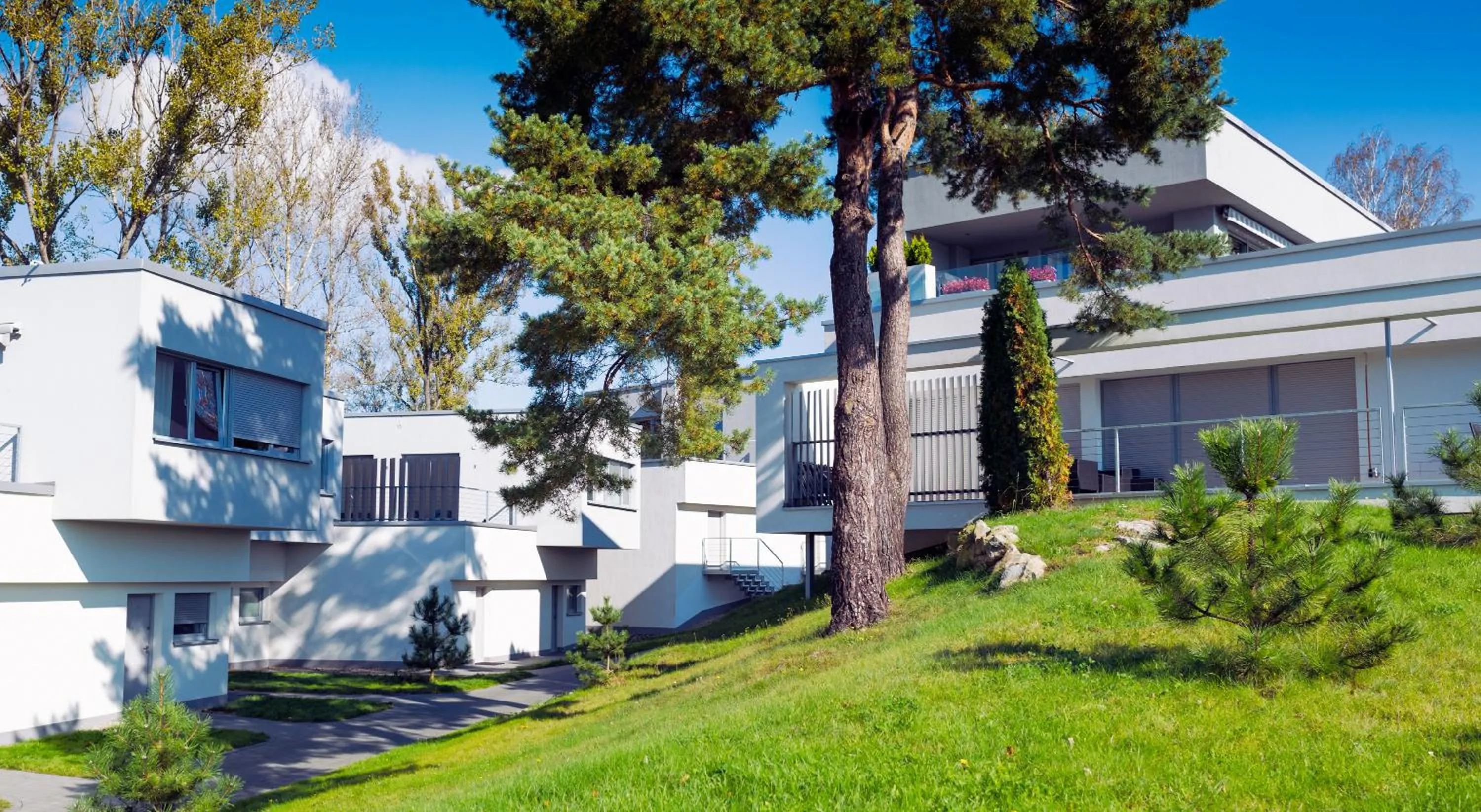 Spring in Lemon Resort Spa