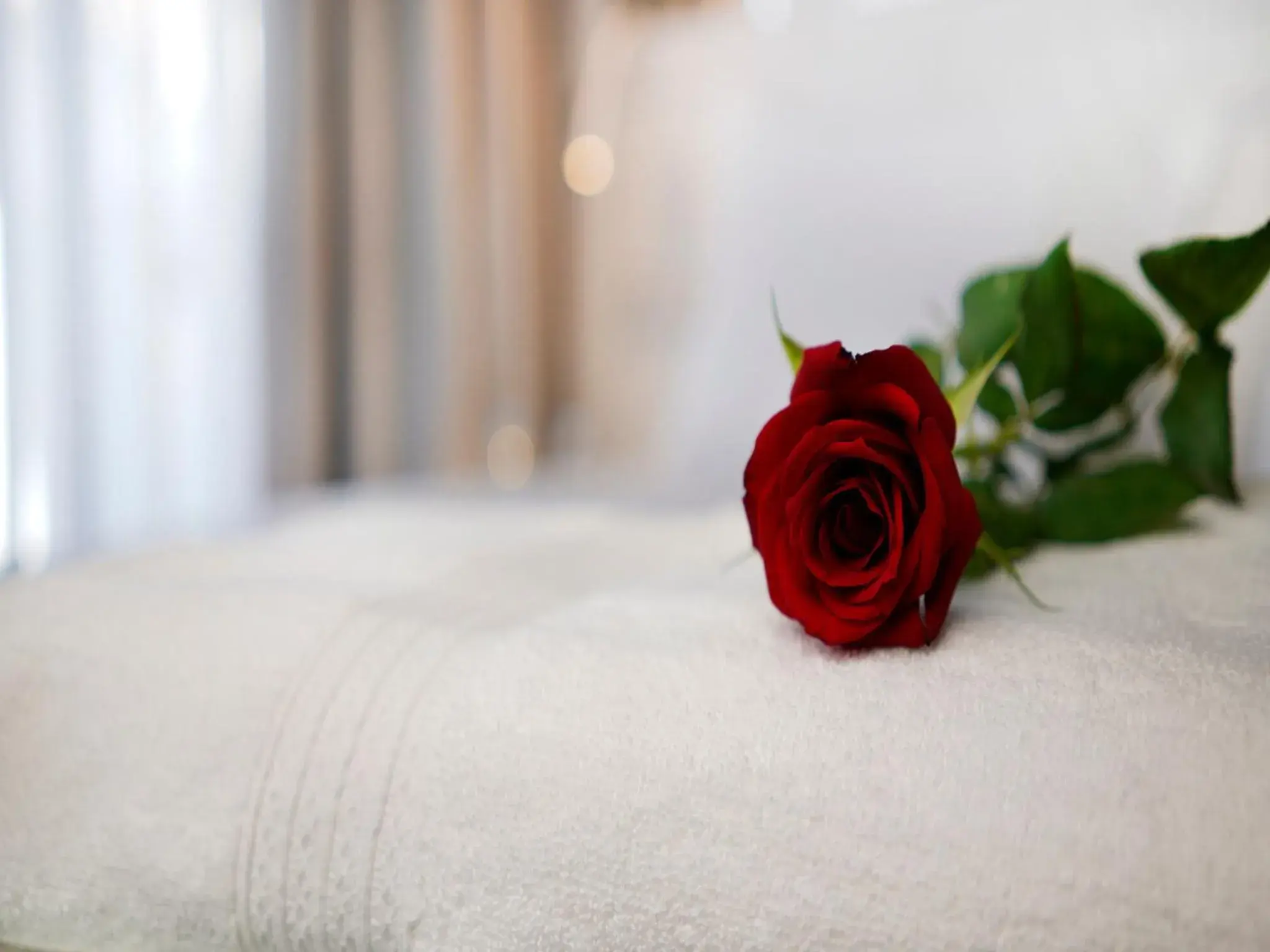 Bed in Petit Palace Suites Hotel Bed in Petit Palace Suites Hotel