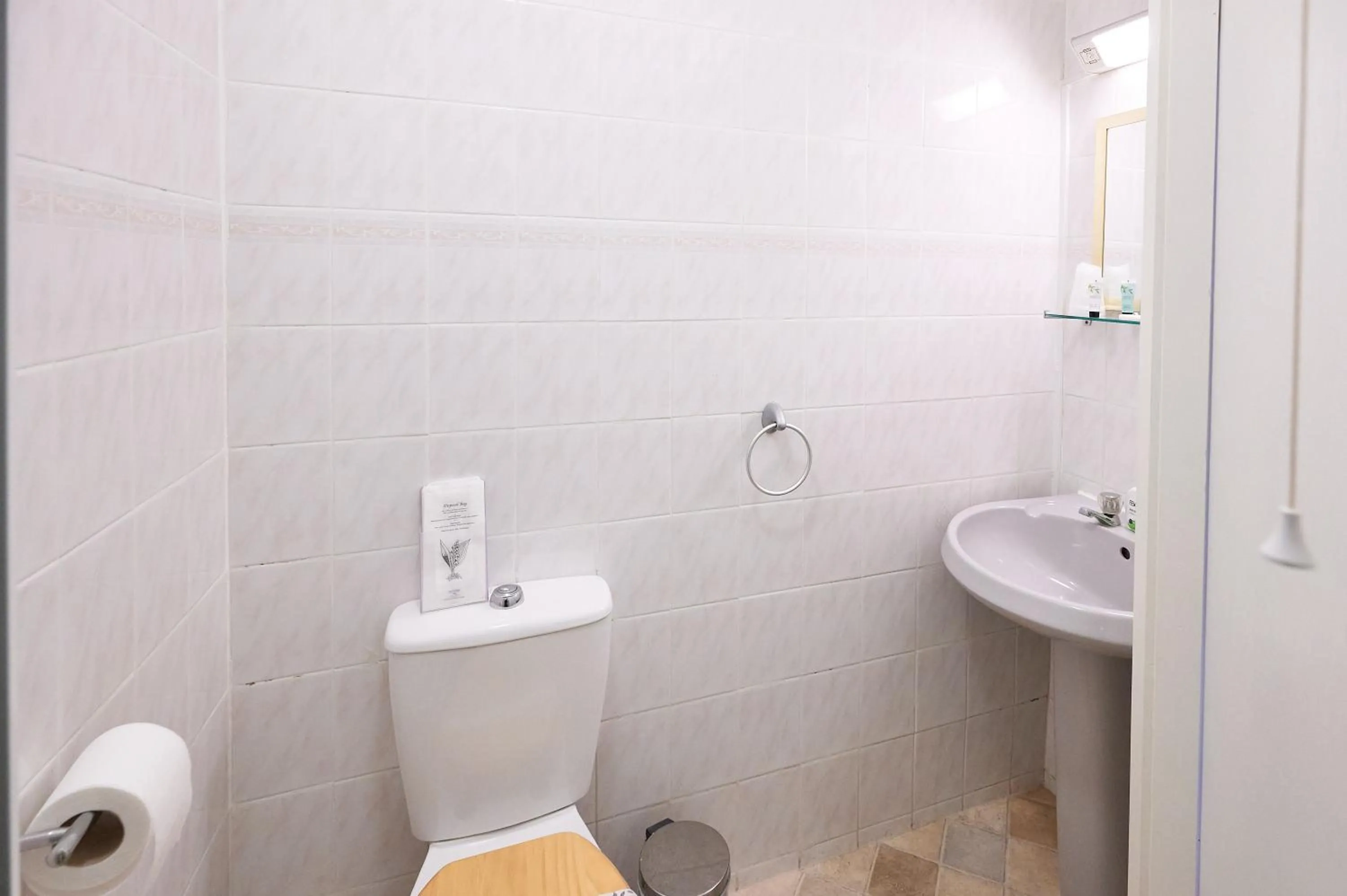 Toilet in The Wilton International