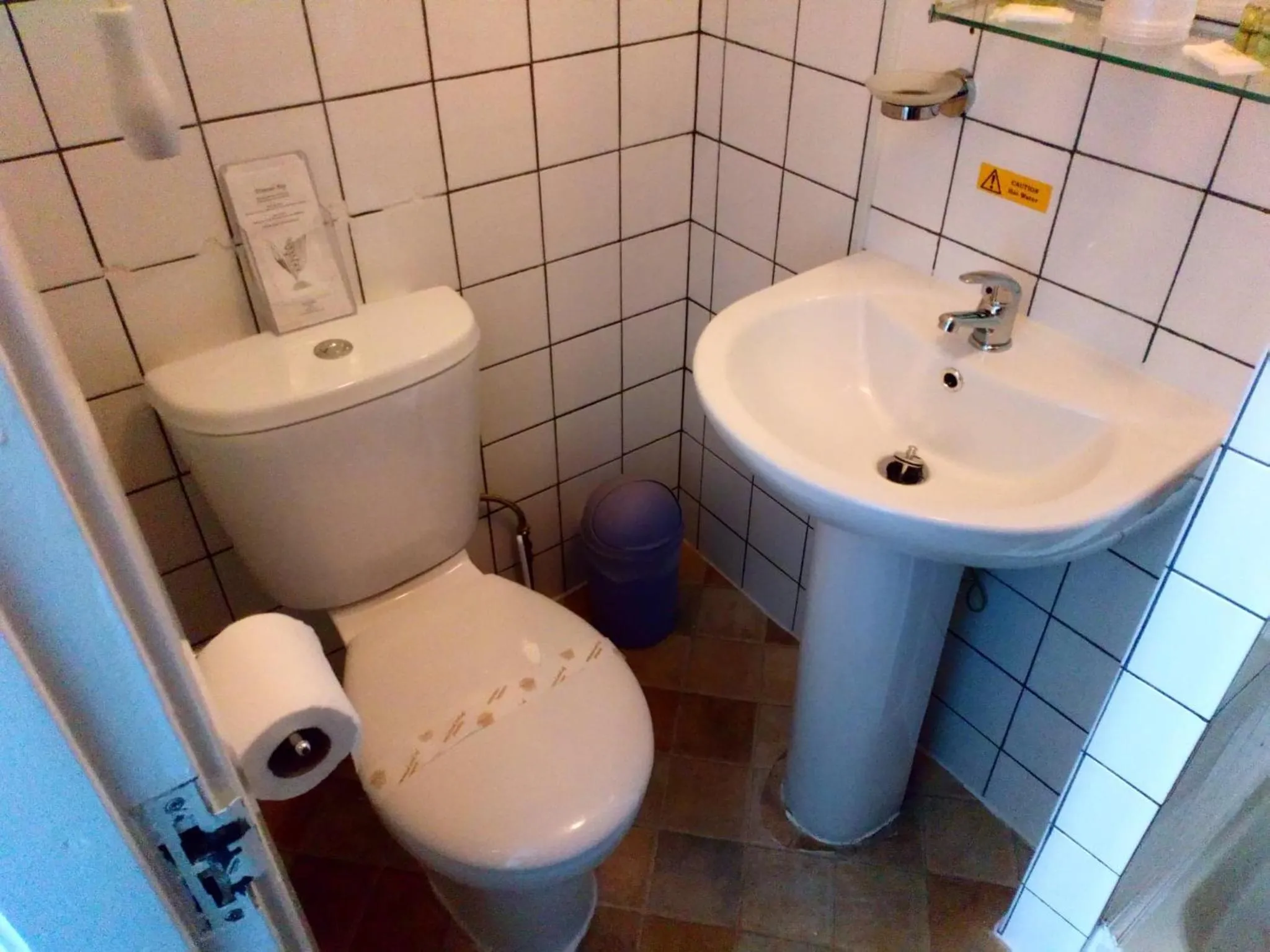 Toilet in The Wilton International