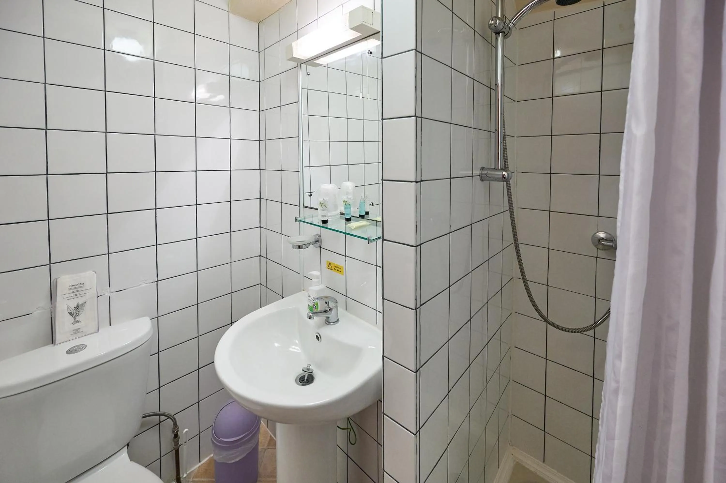 Shower in The Wilton International
