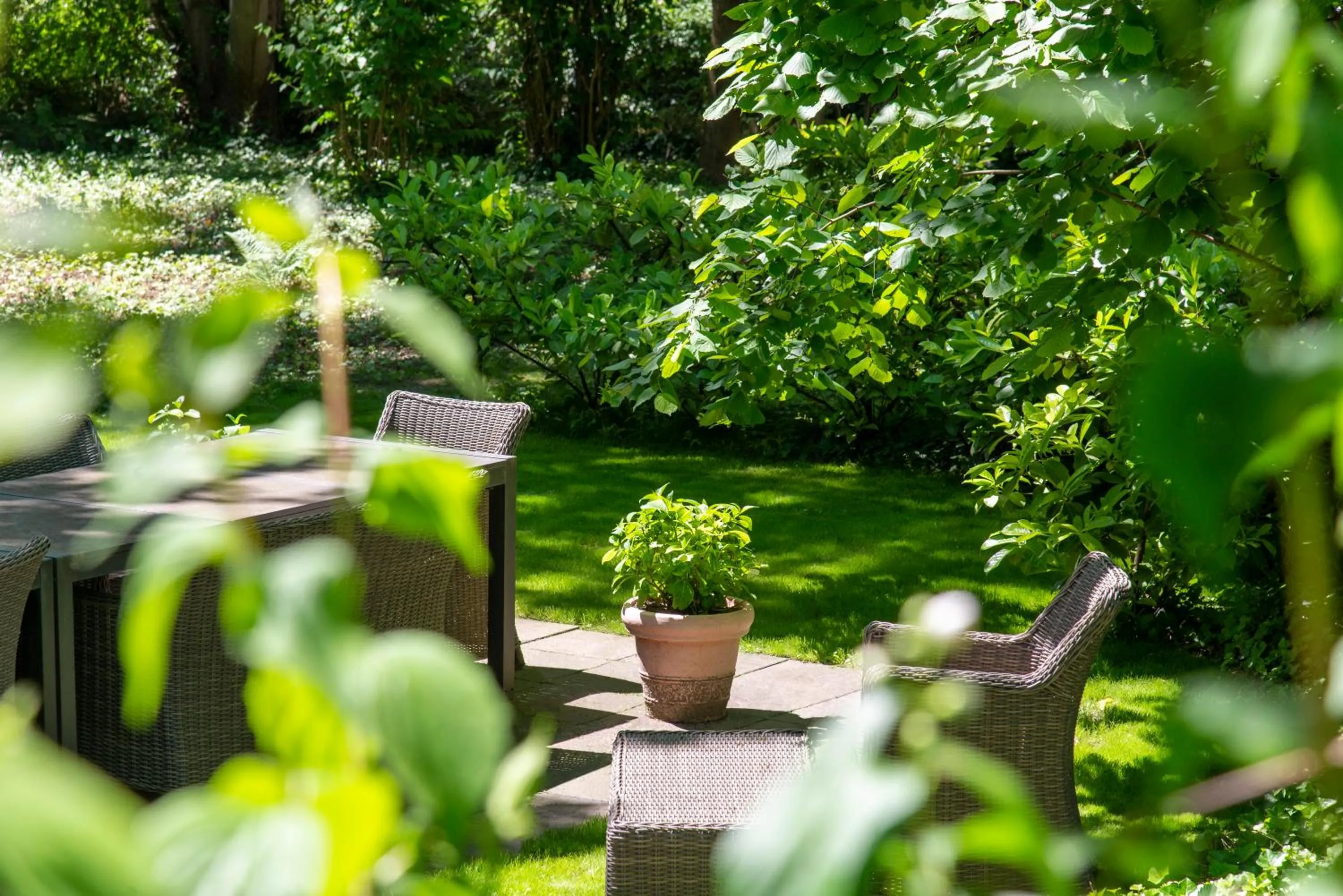 Garden in Livingroom Mathildenhöhe