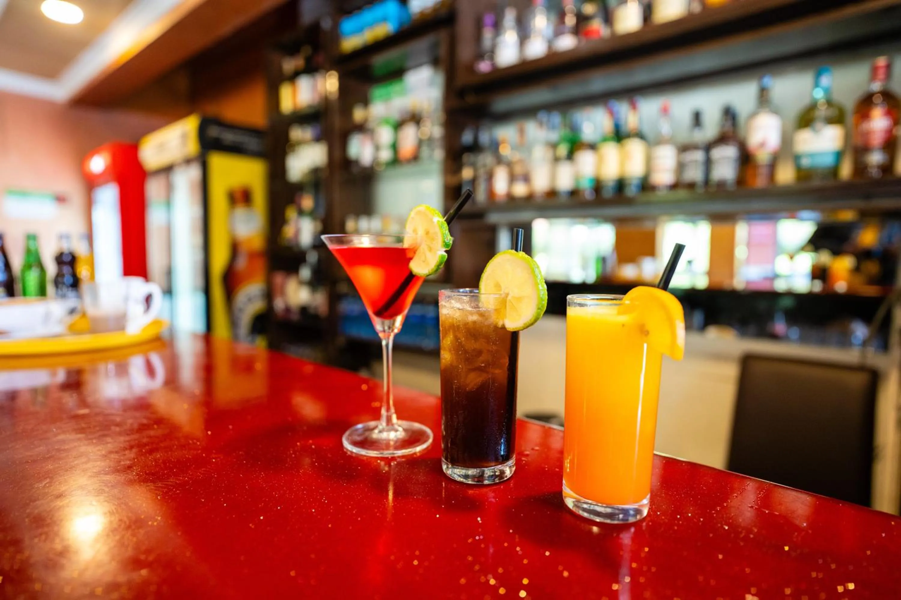 Nightclub / DJ in Hadassah Hotel