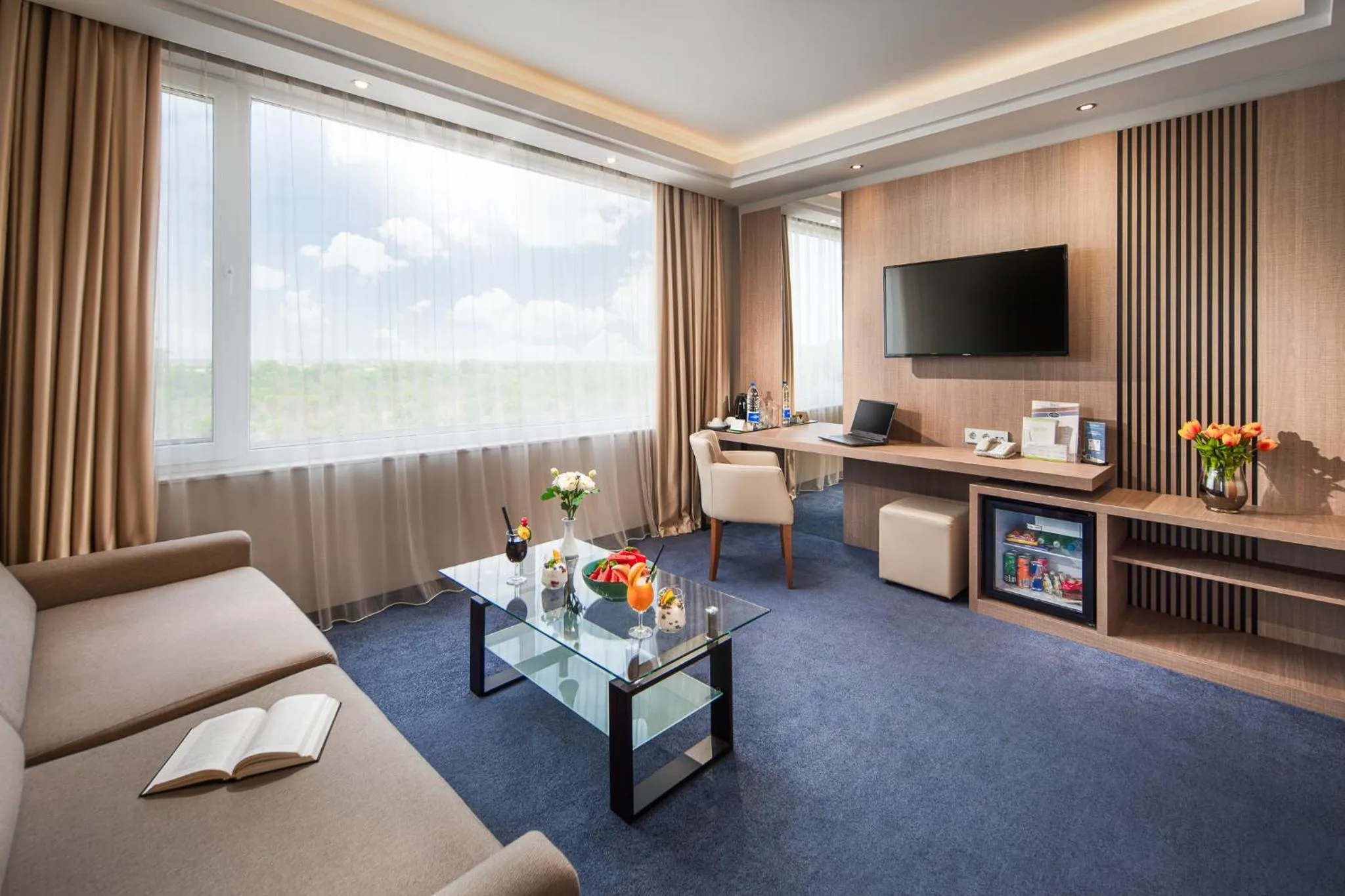 TV and multimedia in Landmark Creek Hotel Plovdiv