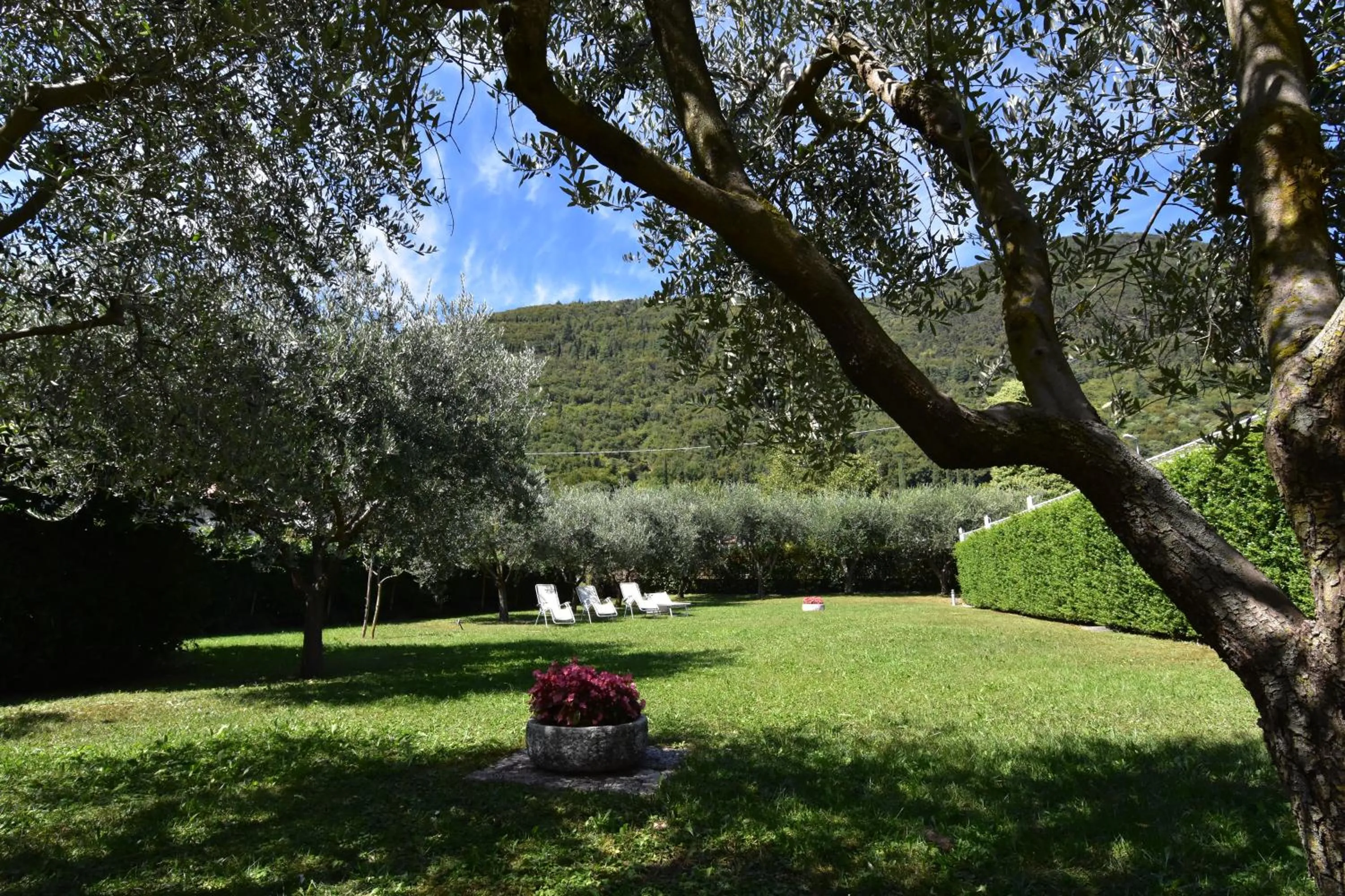 Solarium in Residence Gonda&Giuliano