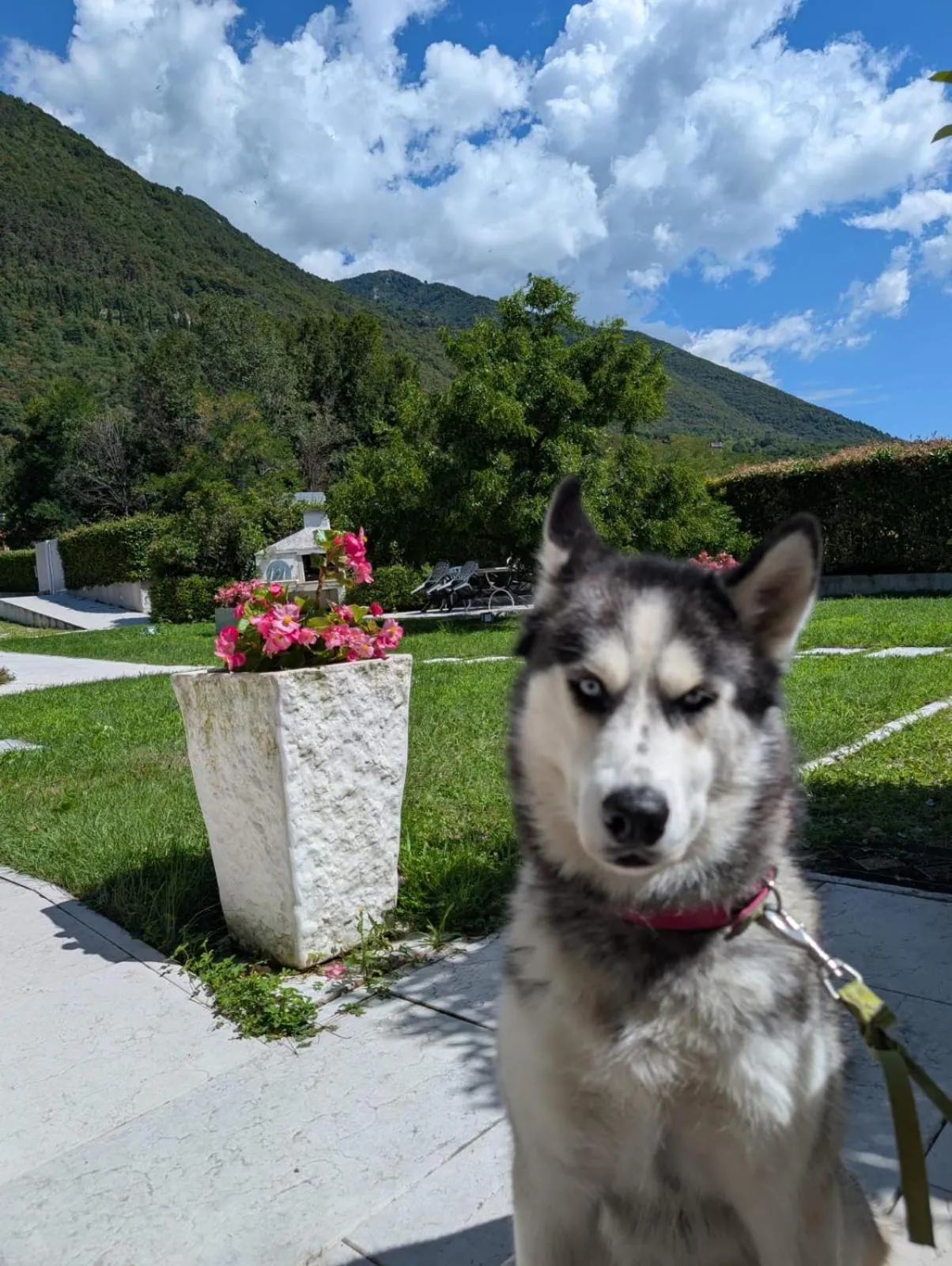 Garden in Residence Gonda&Giuliano