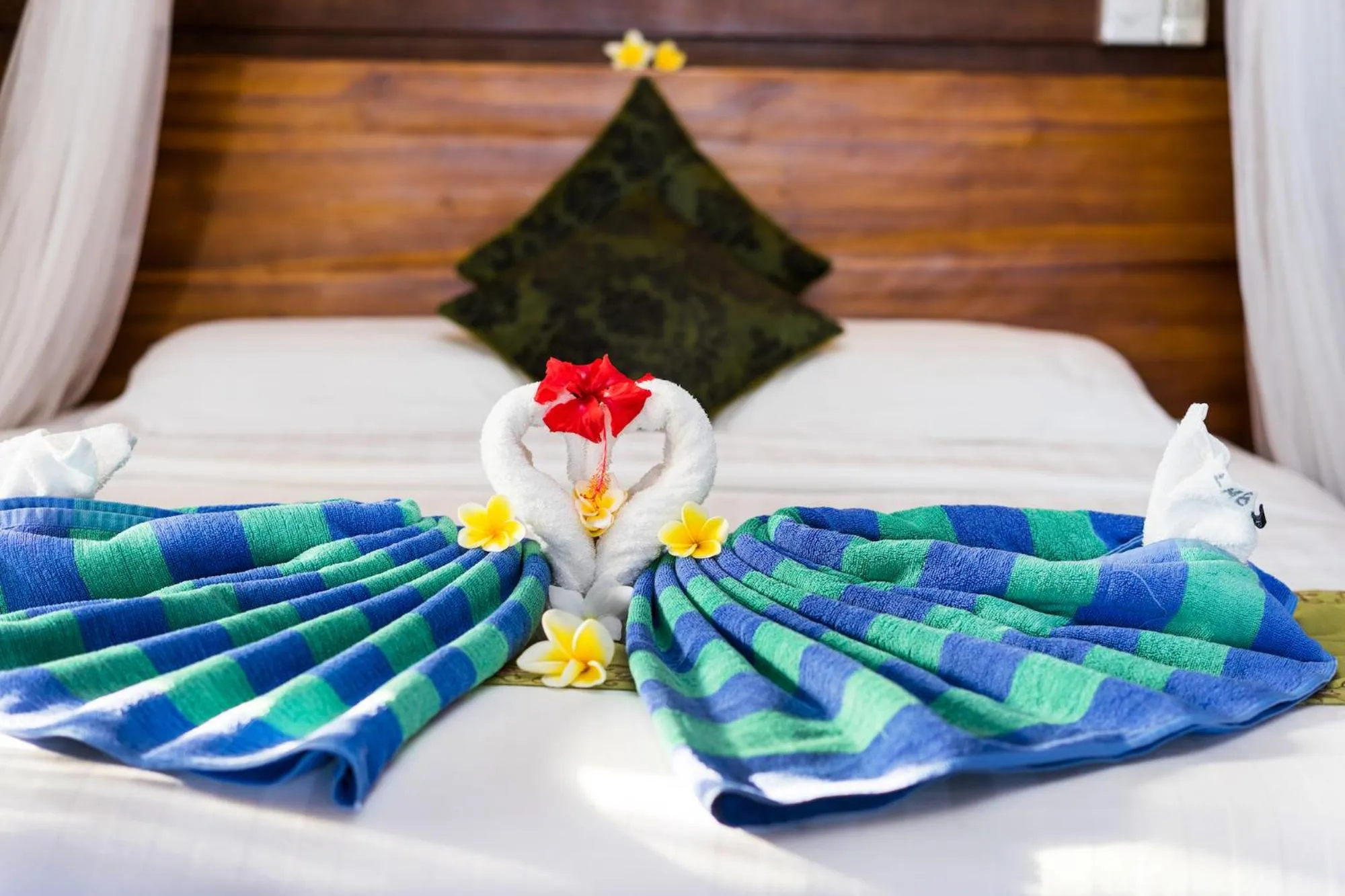 Bed in Laguna Reef Huts