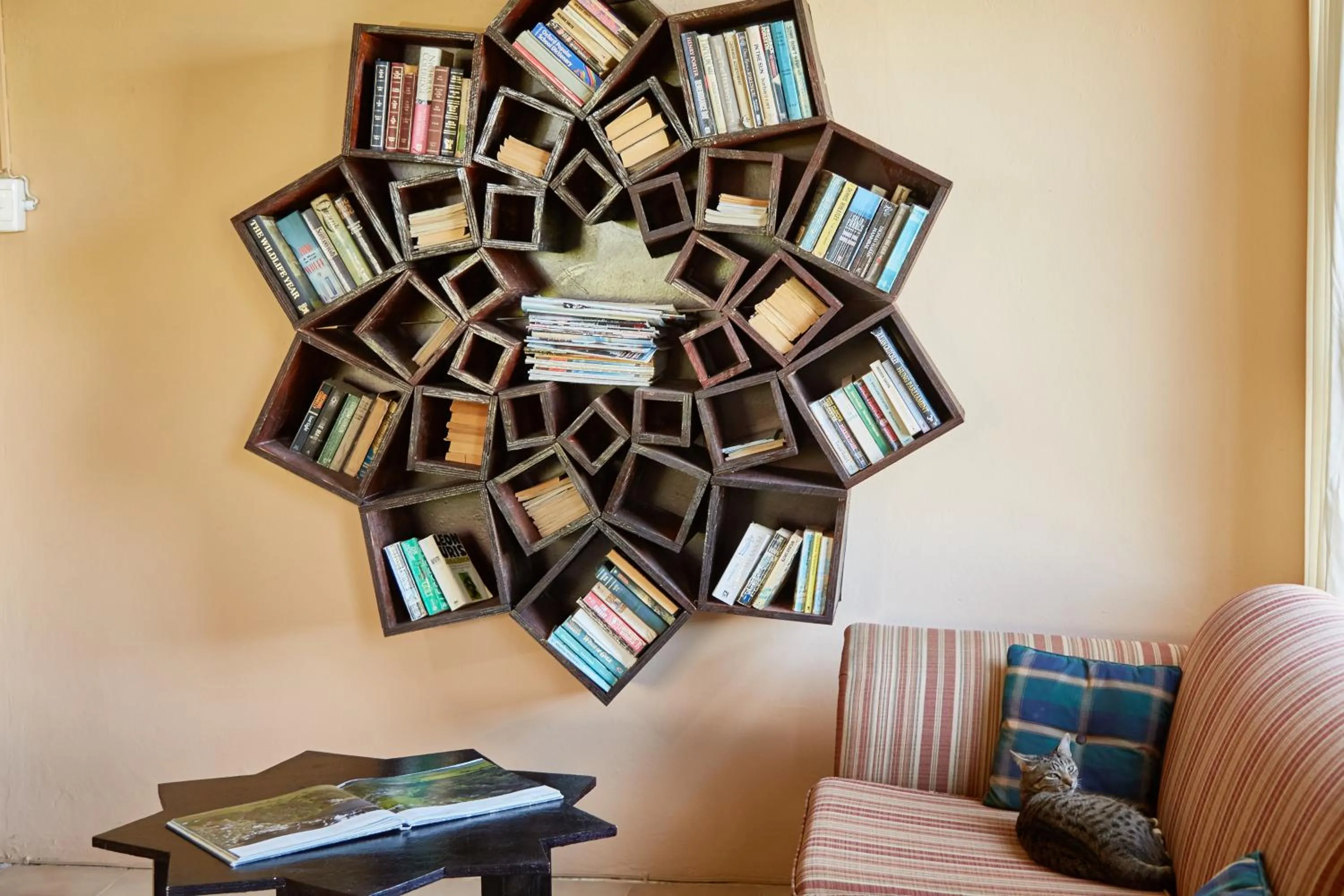 Library in First Group Hole in the Wall