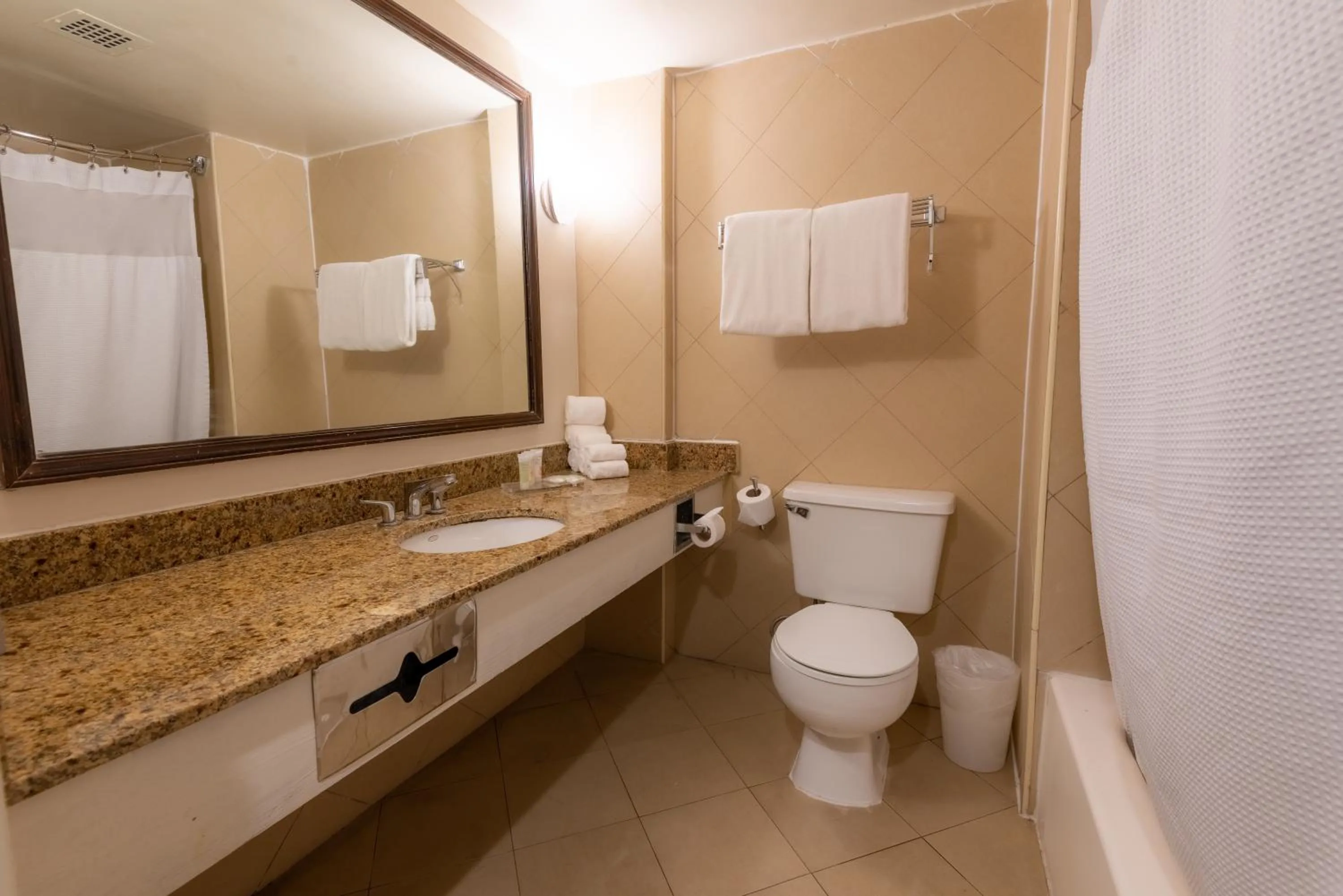 Bathroom in Radisson Hotel Trinidad