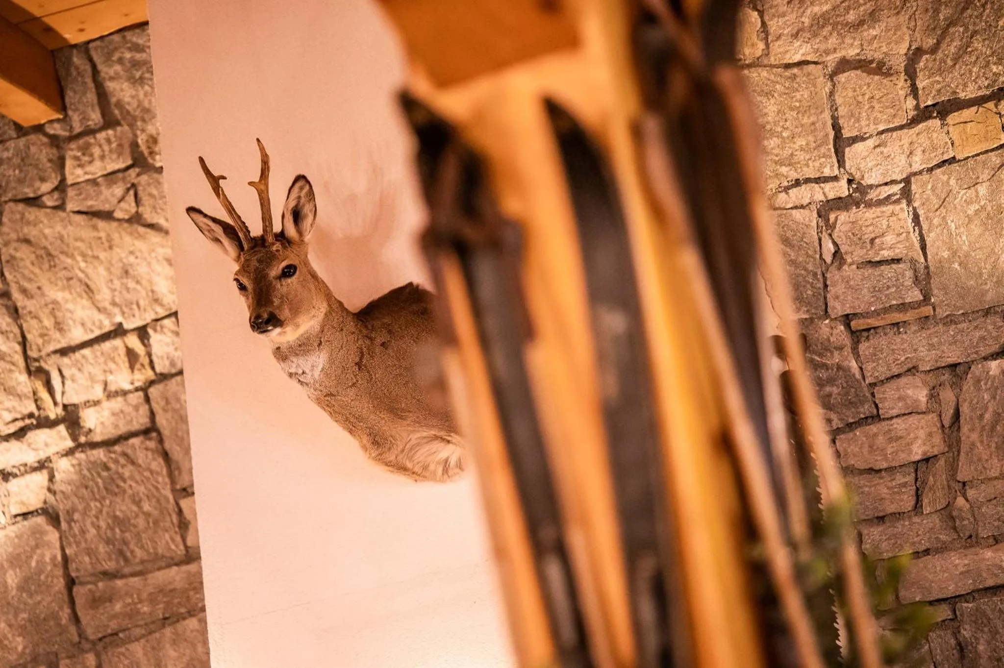 Parc Madeleine - CHALETS