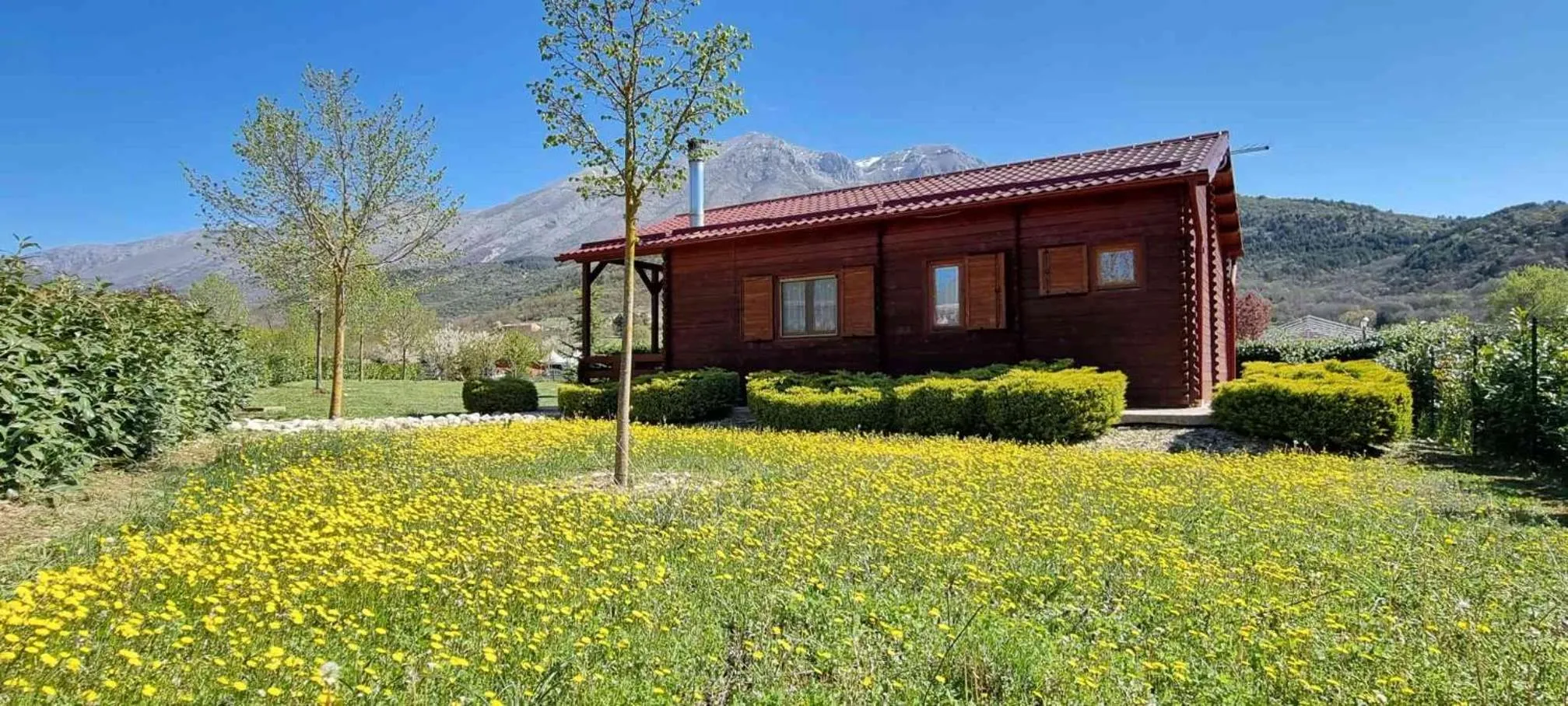 Property building in Agriturismo Il Timo