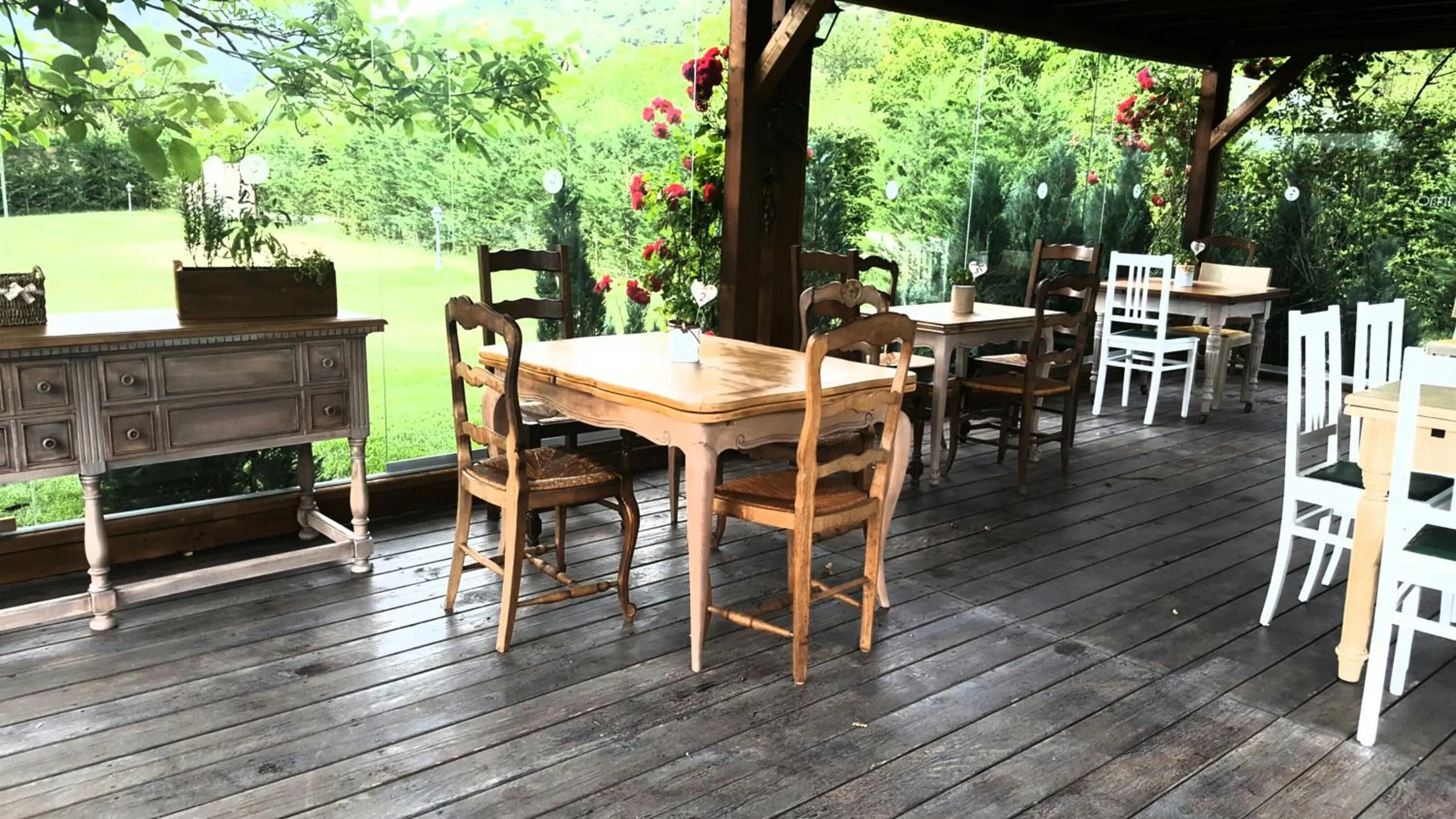 Restaurant/places to eat in Agriturismo Il Timo