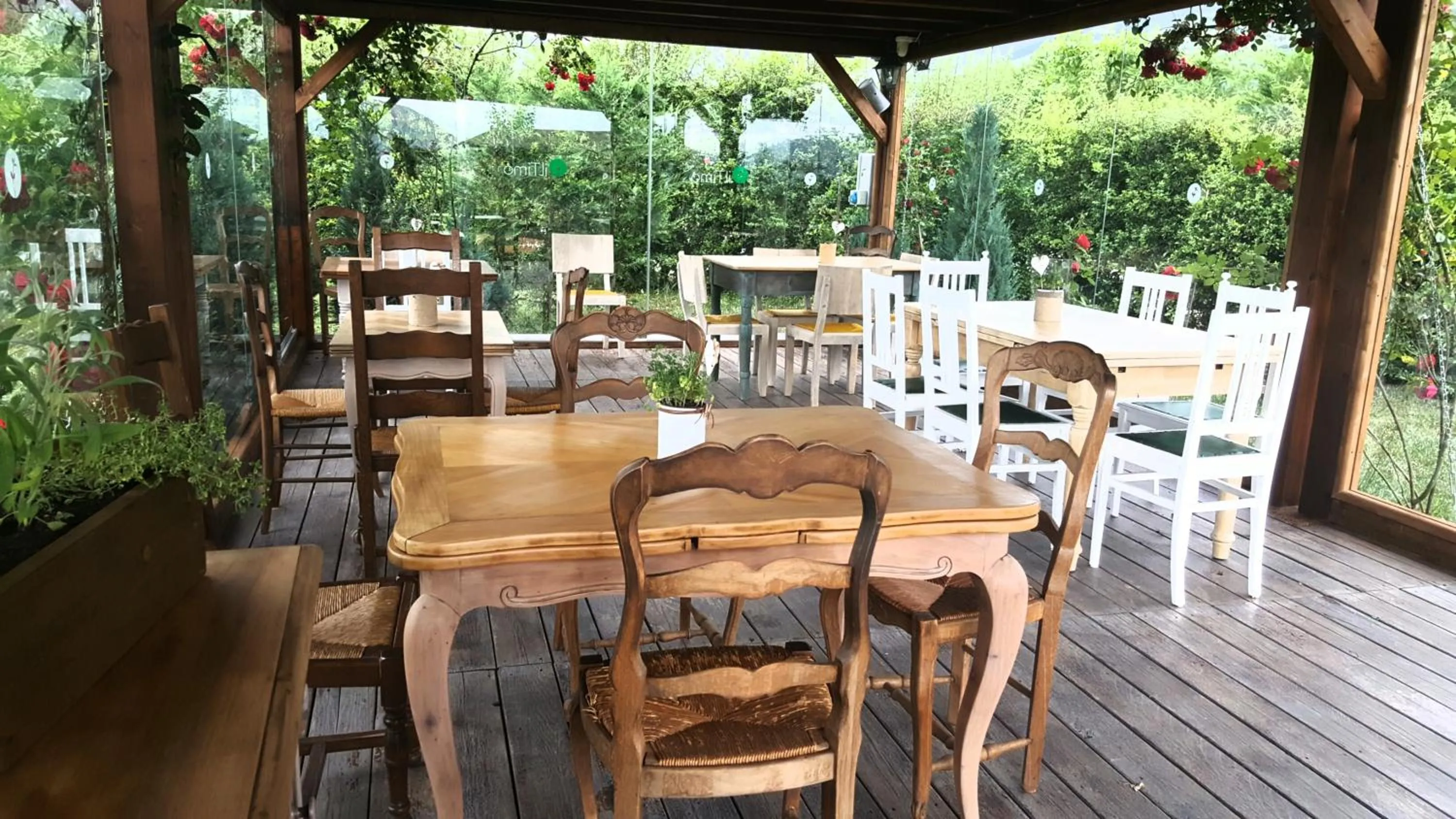 Restaurant/places to eat in Agriturismo Il Timo