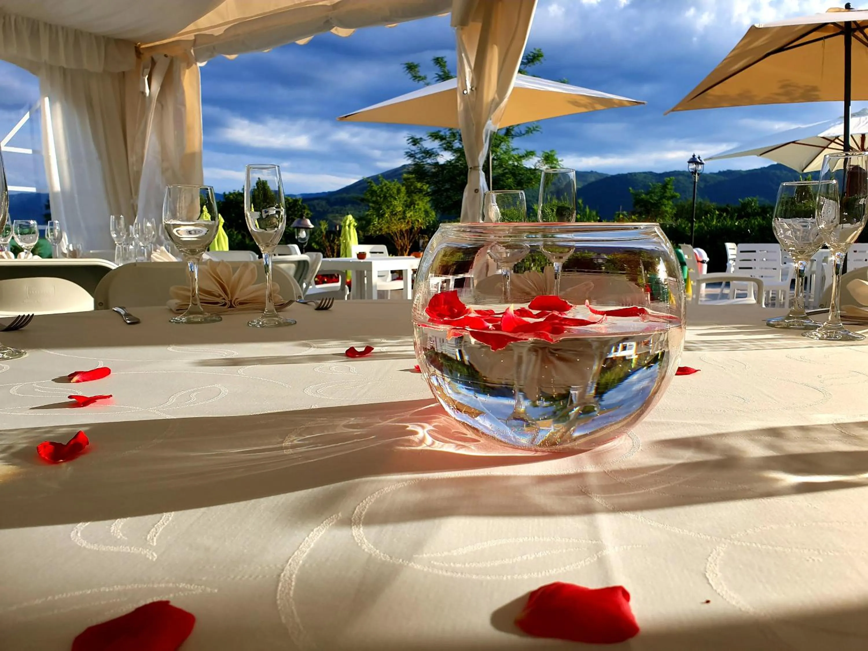 Restaurant/places to eat in Agriturismo Il Timo