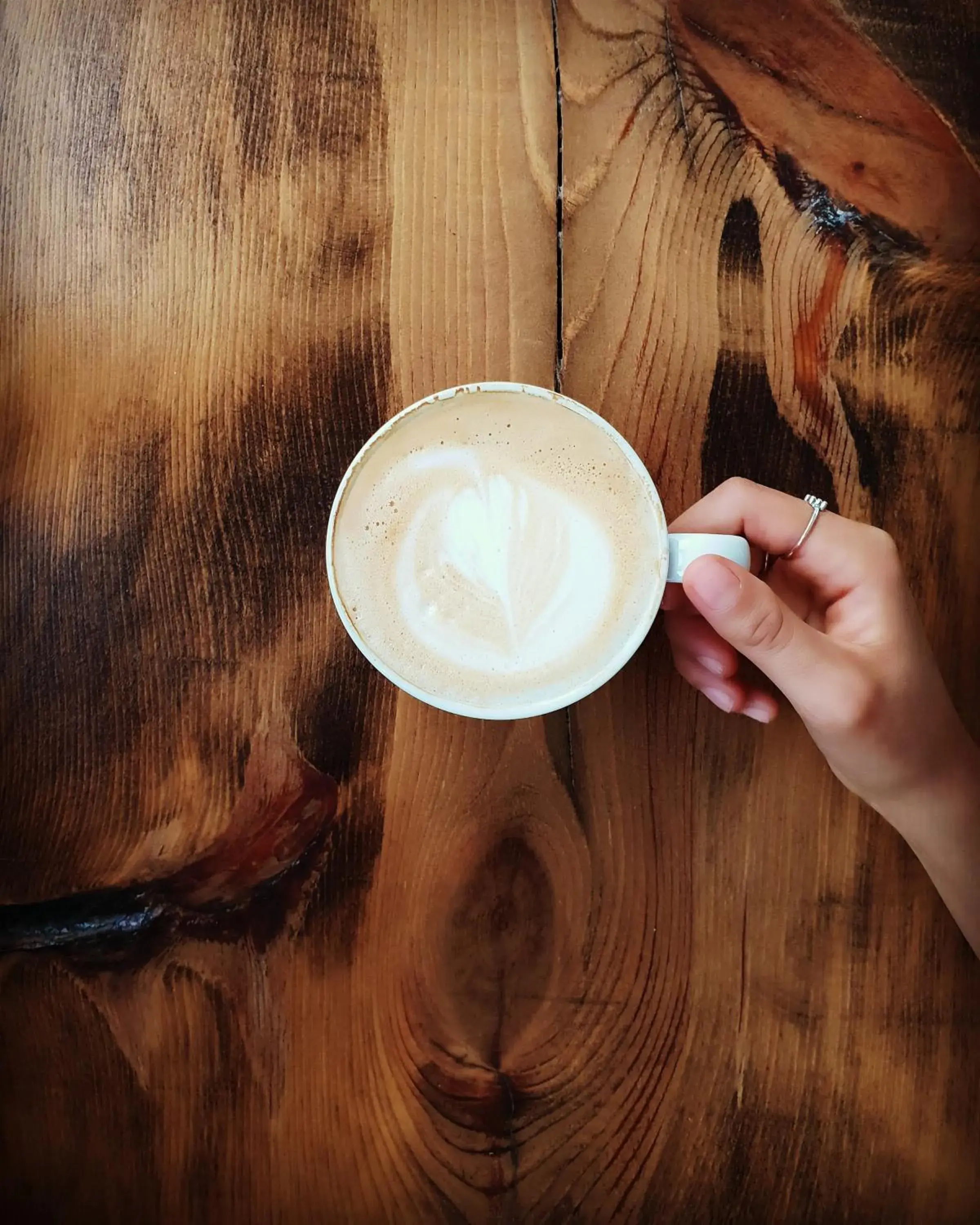 Restaurant/places to eat in Ozgur Bey Spa Hotel Restaurant/places to eat in Ozgur Bey Spa Hotel