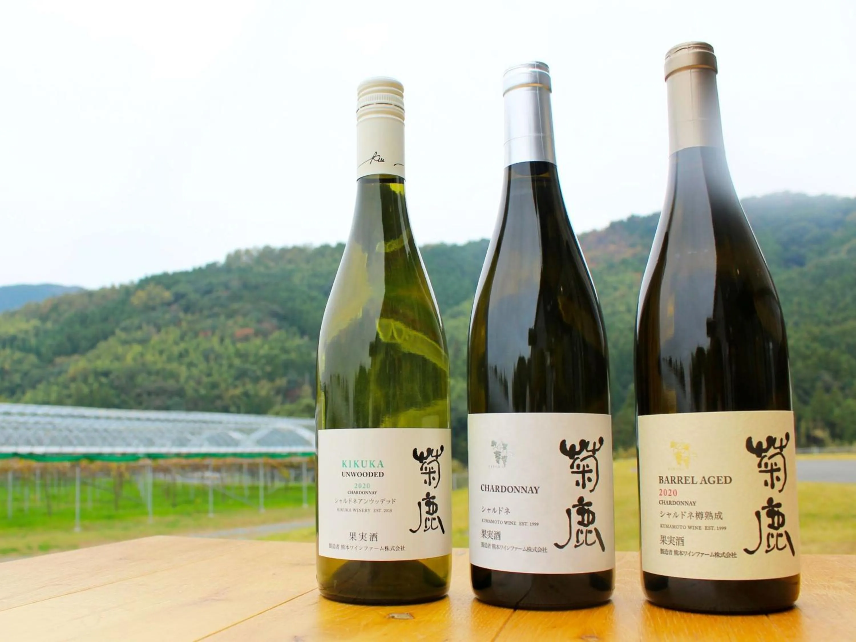 Off site in Grids Premium Hotel Kumamoto