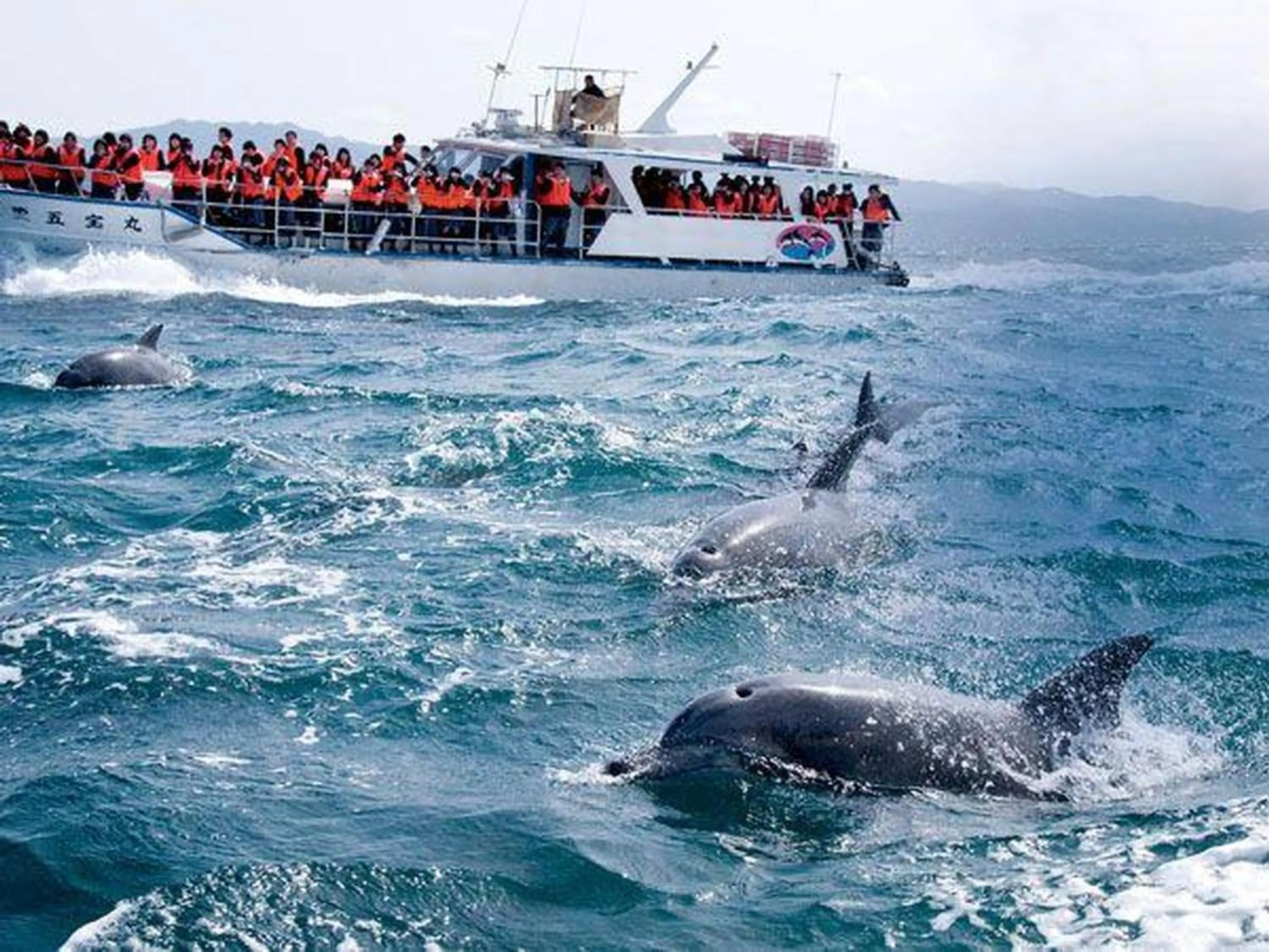 Nearby landmark in Grids Premium Hotel Kumamoto