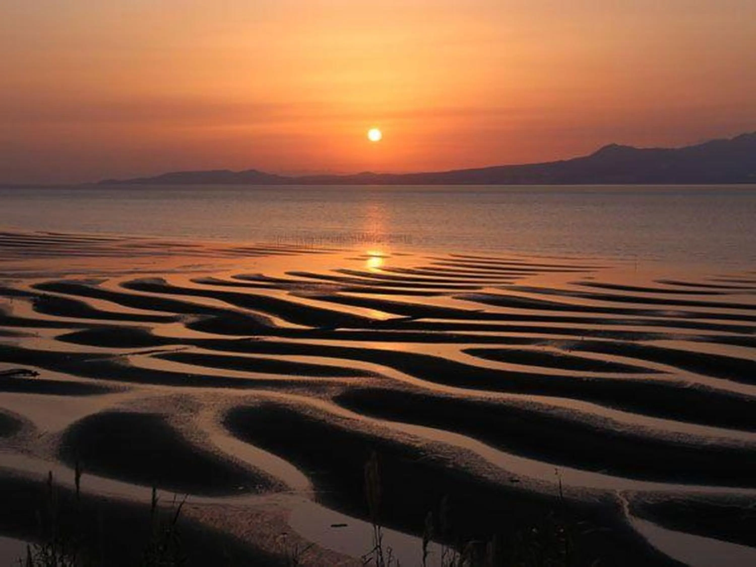 Nearby landmark in Grids Premium Hotel Kumamoto