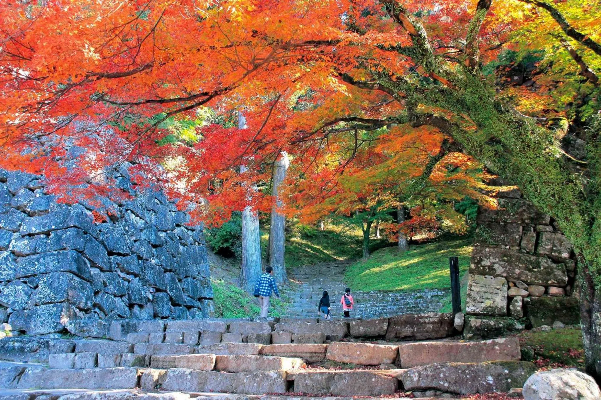 Nearby landmark in Grids Premium Hotel Kumamoto