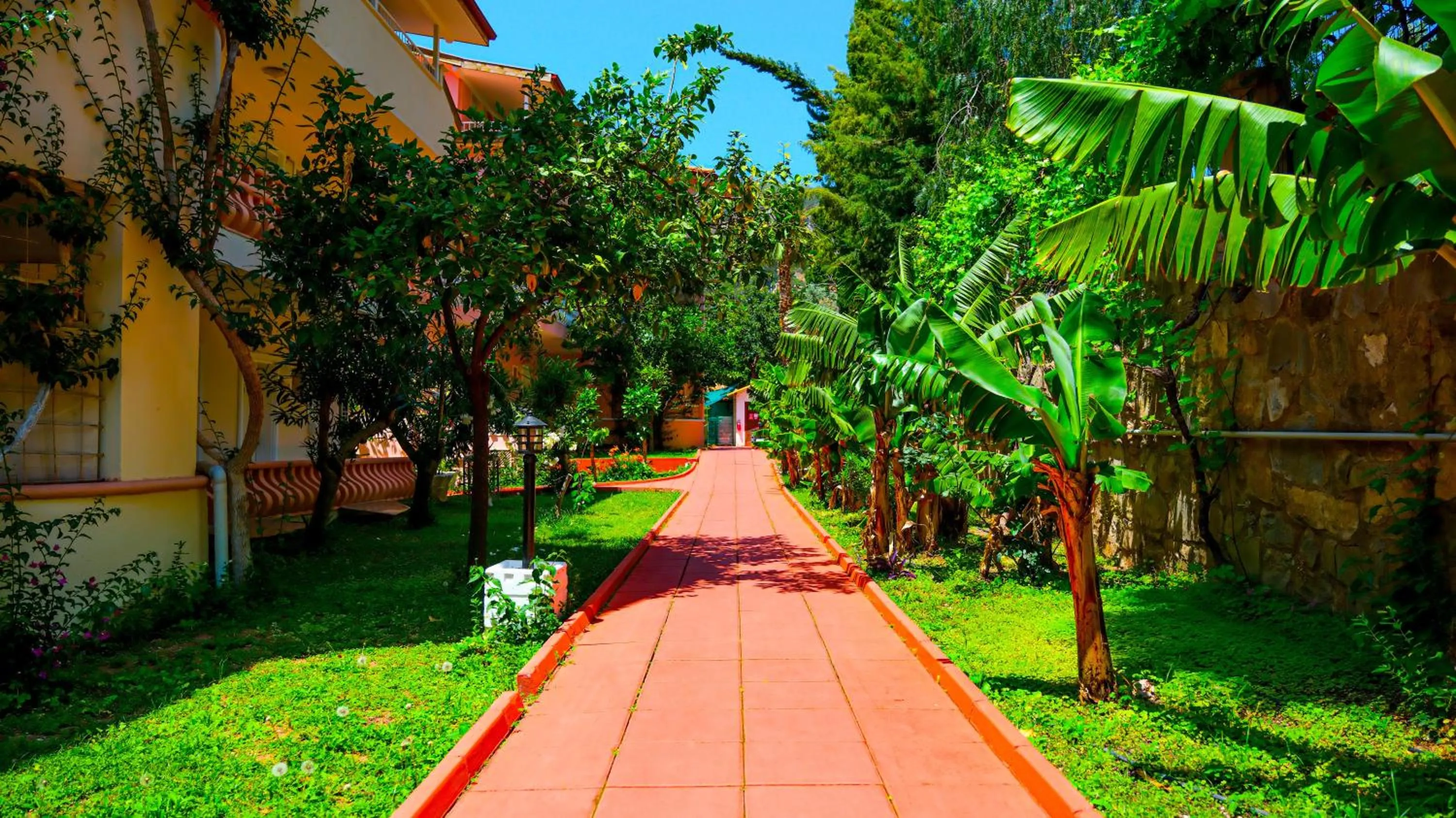 Garden in Ölüdeniz Turquoise Hotel - All Inclusive