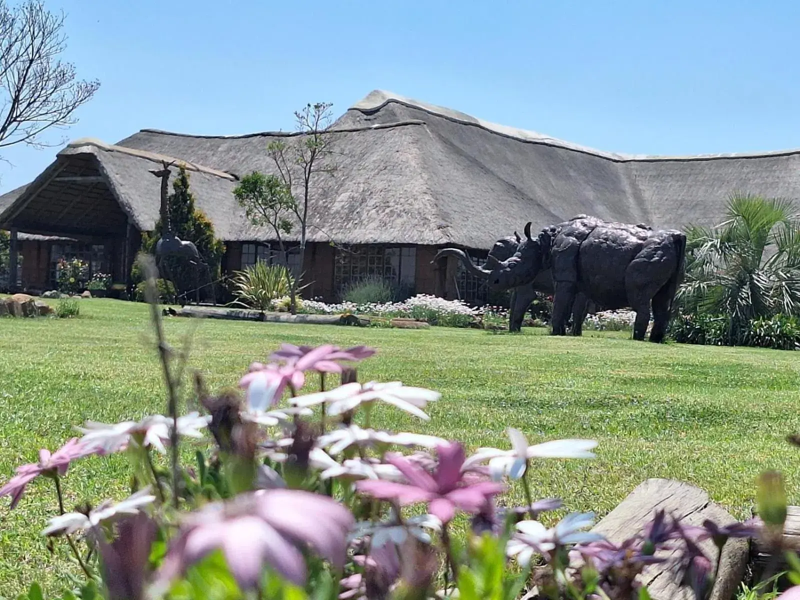 Linglela Lodge Linglela Lodge
