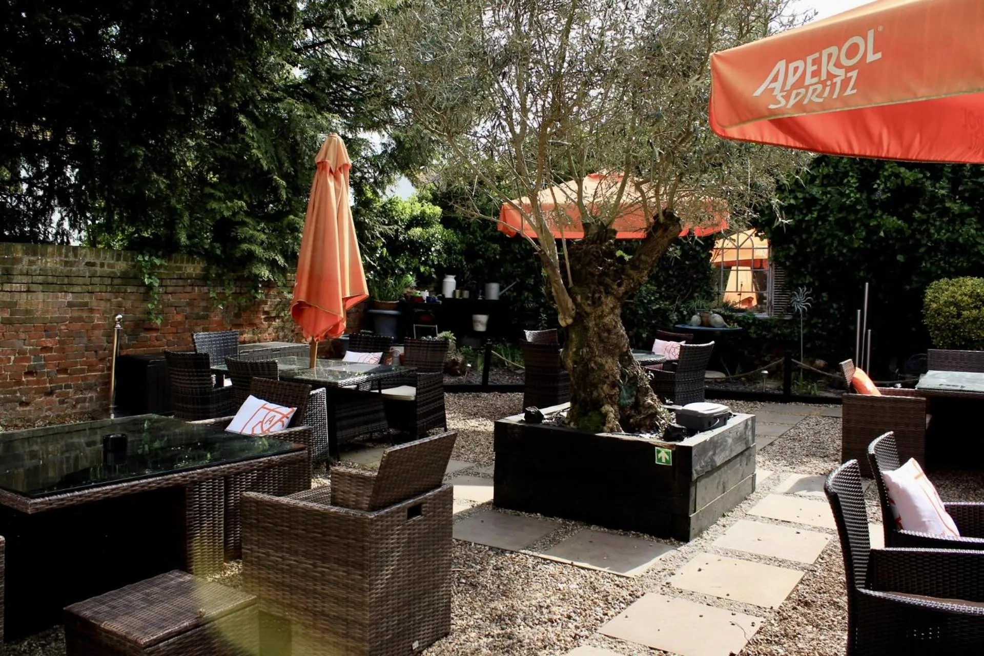 Garden in The Blue Anchor