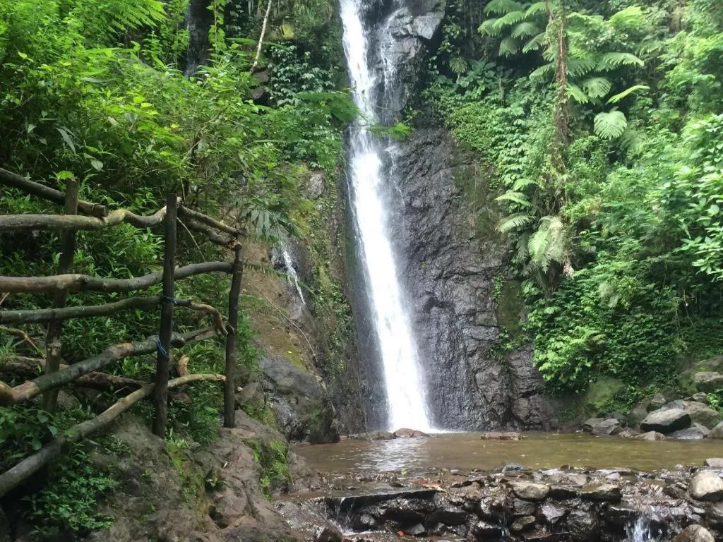 Rizen Premiere Hotel