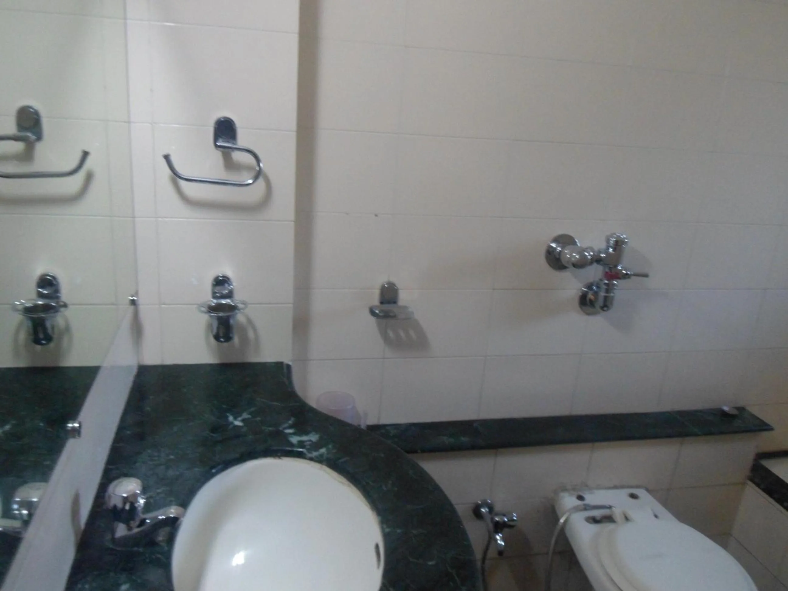 Bathroom in Hotel Pooja International