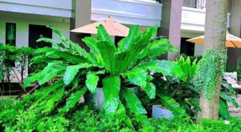 Gasser Park & Residence