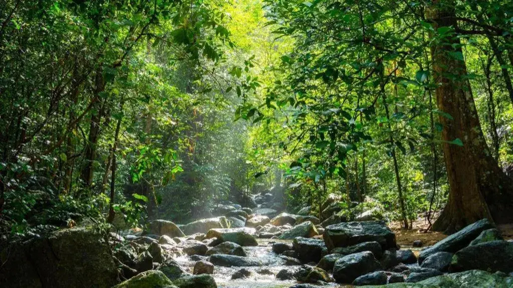 The Sez Hotel Bangsaen The Sez Hotel Bangsaen